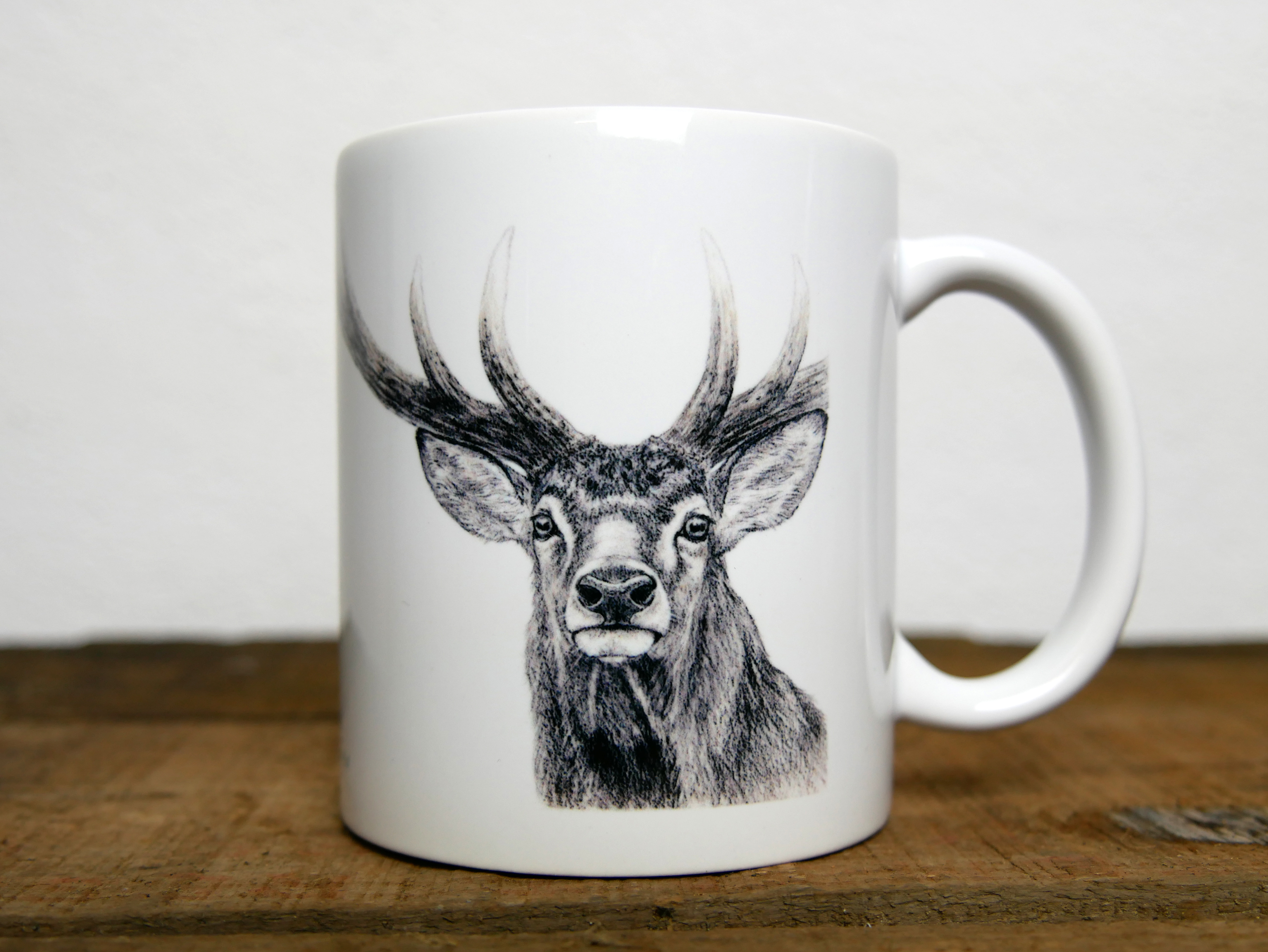 Regards sauvages "Le cerf"