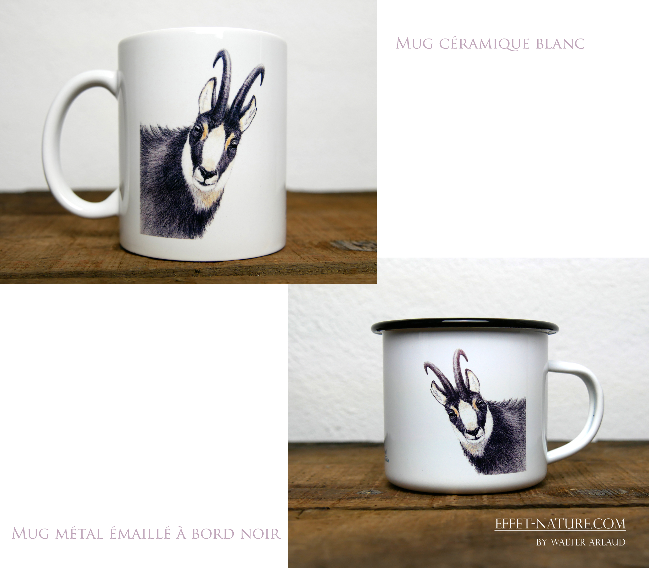 Regards sauvages "Le chamois"