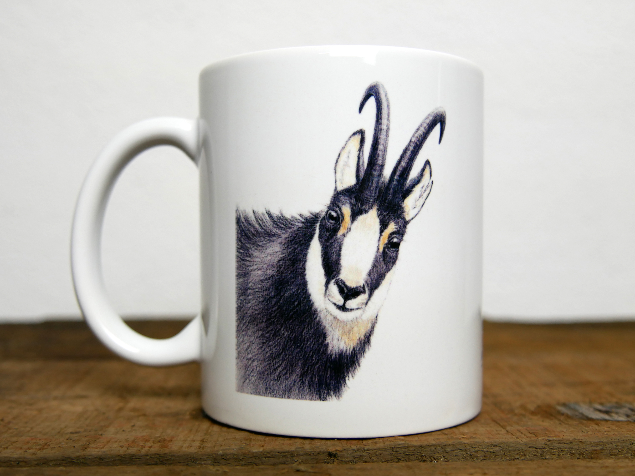 Regards sauvages "Le chamois"