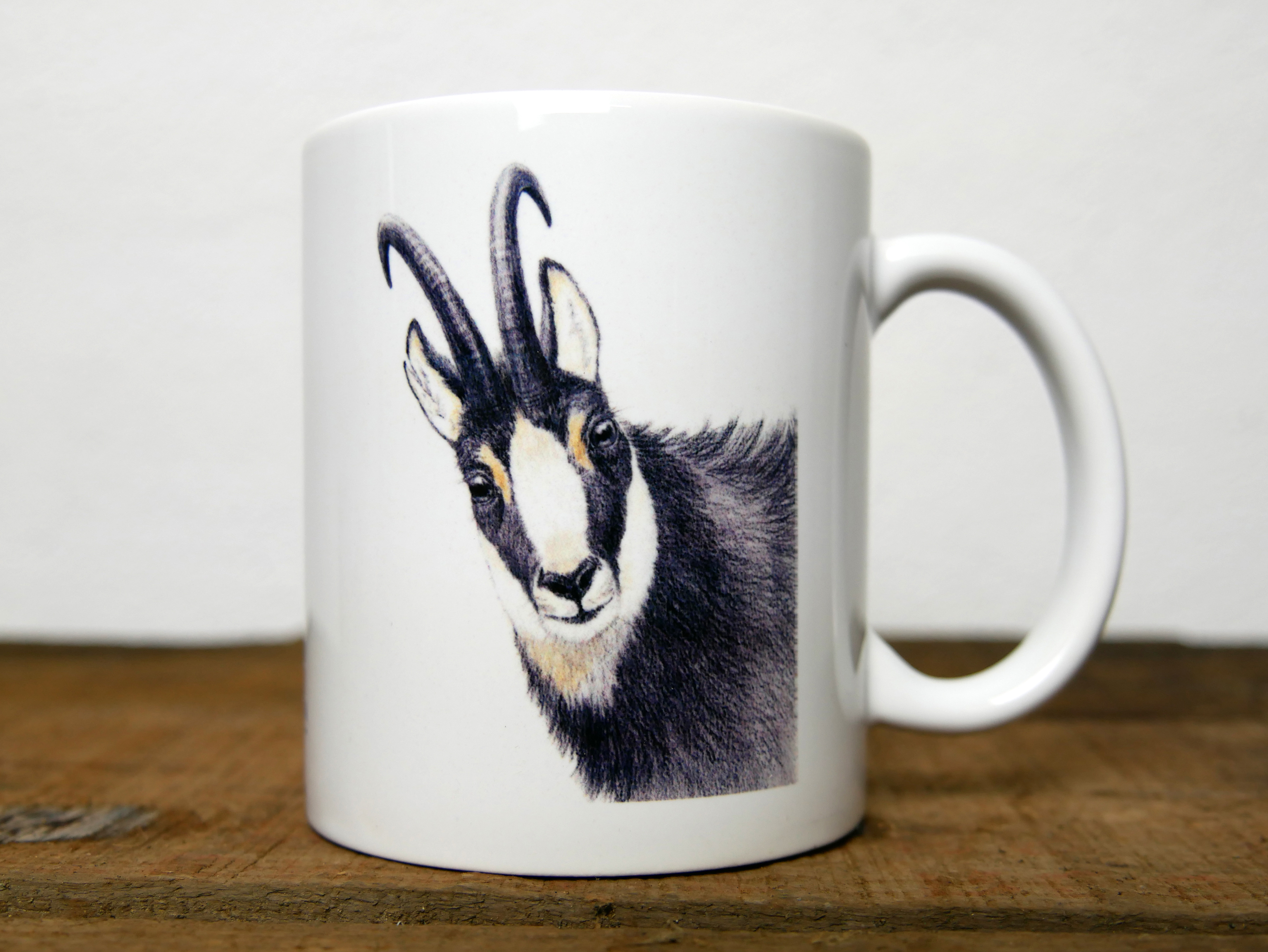 Regards sauvages "Le chamois"
