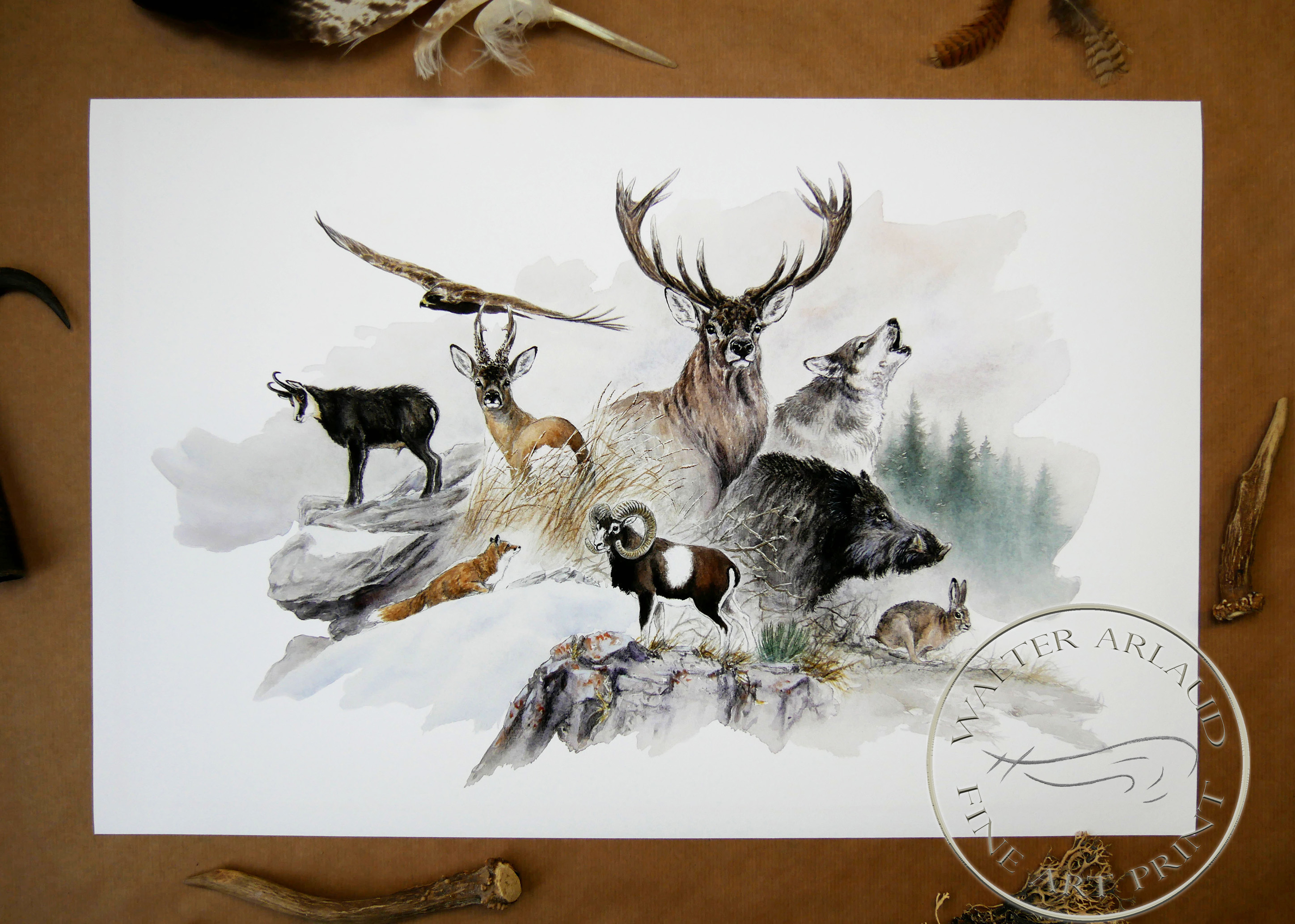 Faune de montagne / Edition limitée Fine Art 