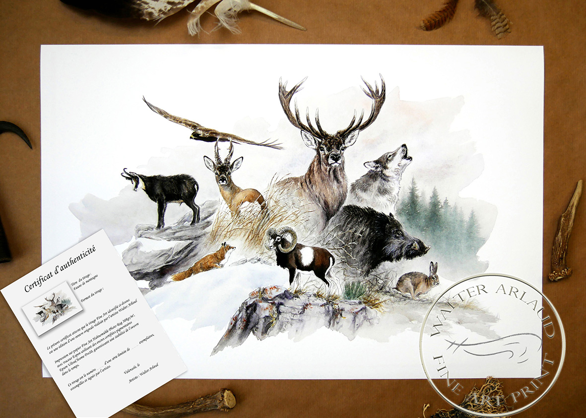 Faune de montagne / Edition limitée Fine Art 