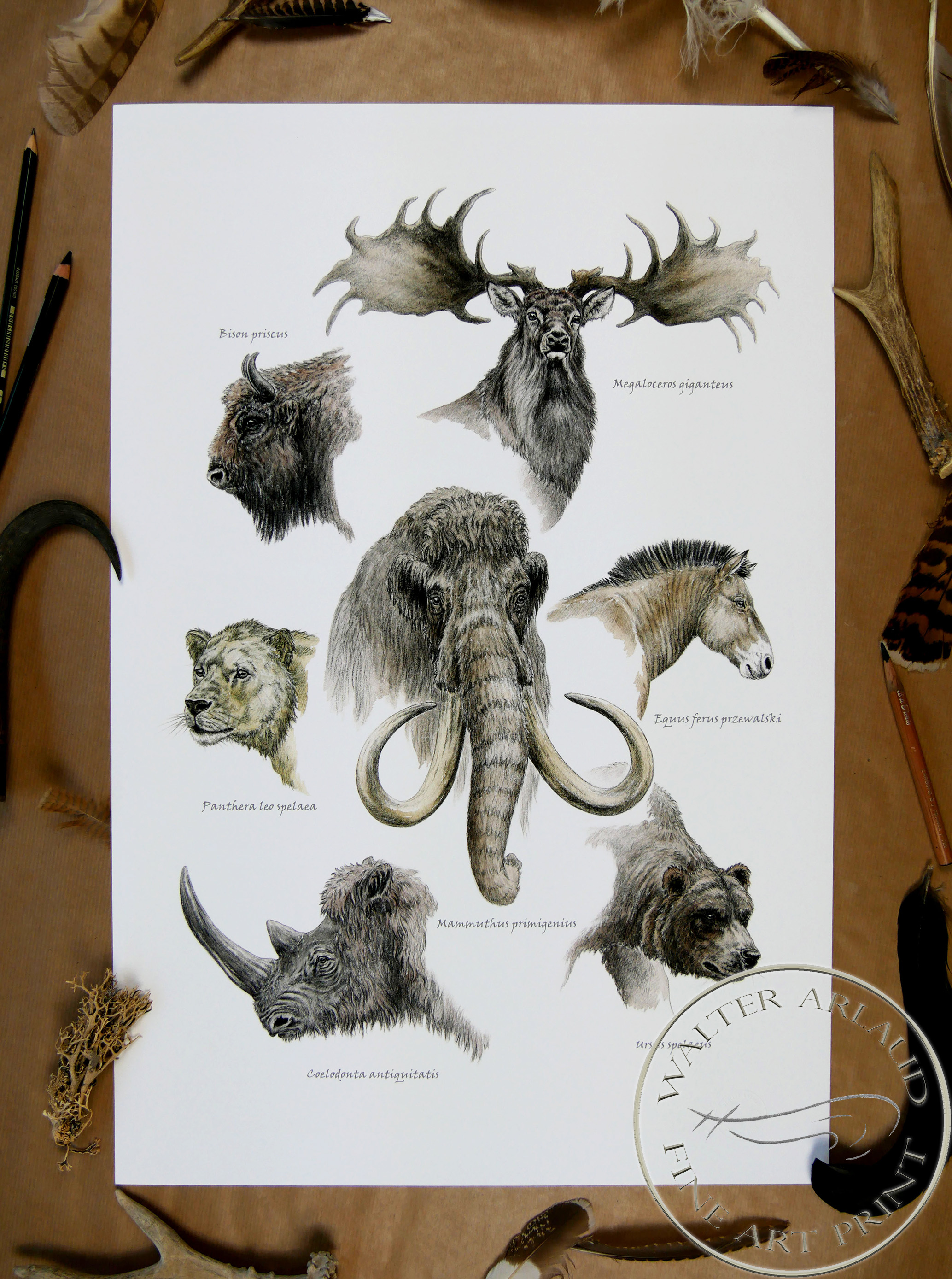 Faune de la préhistoire / Edition limitée Fine Art 