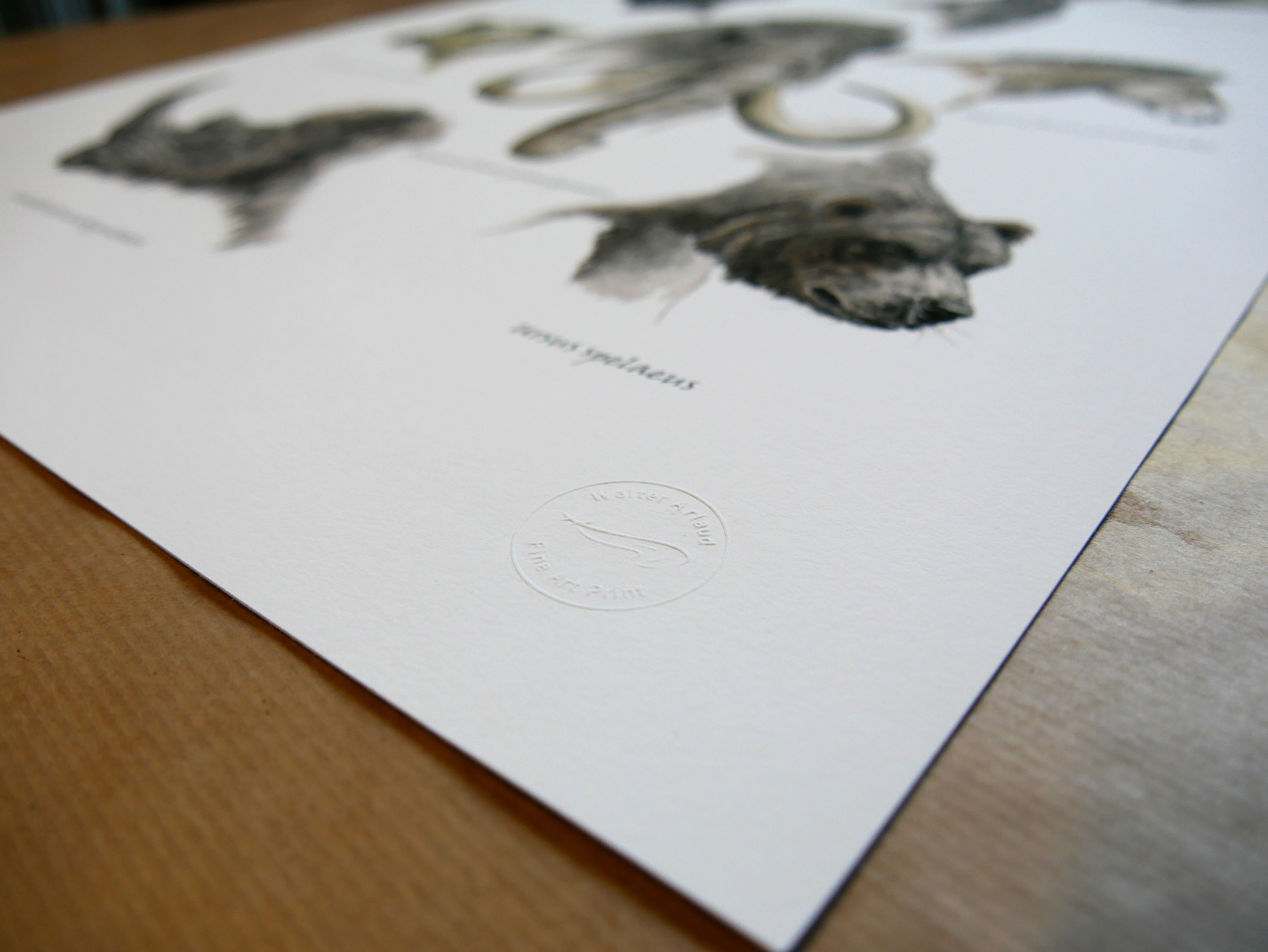 Faune de la préhistoire / Edition limitée Fine Art 