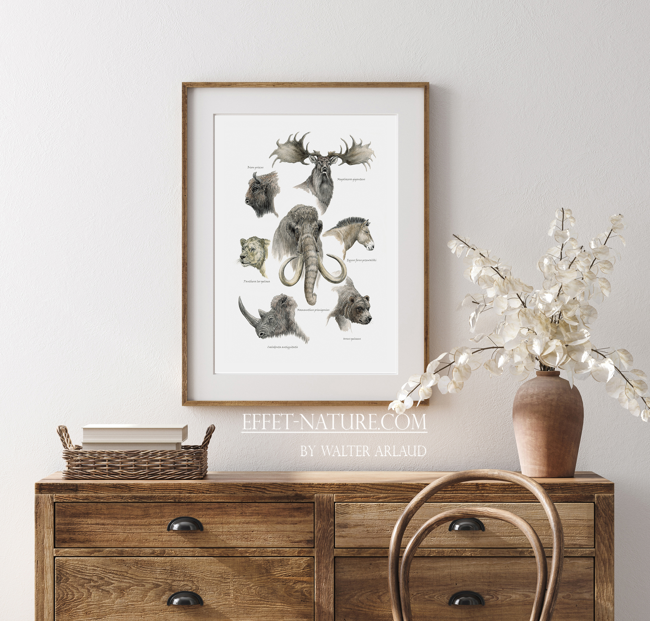 Faune de la préhistoire / Edition limitée Fine Art 