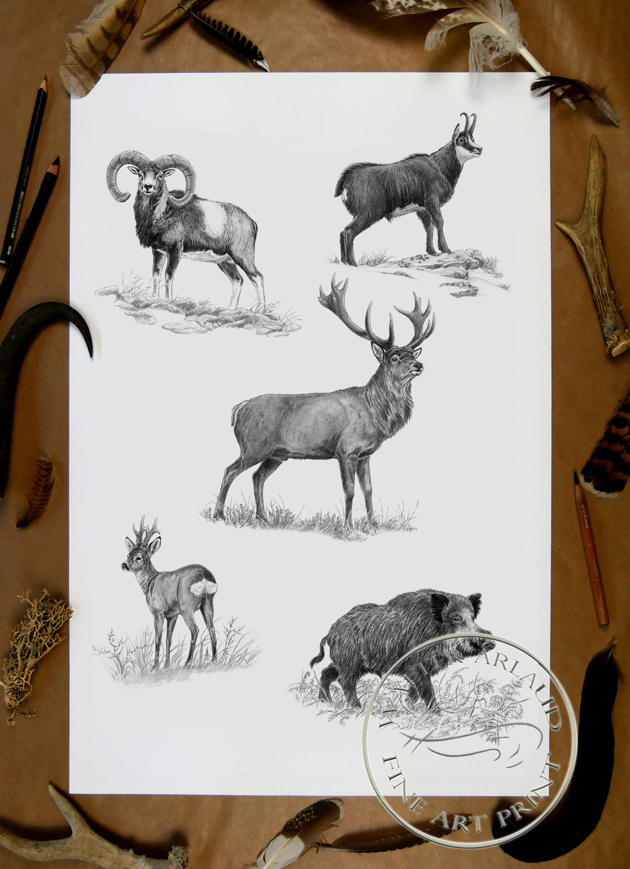 Grande faune / Edition limitée Fine Art 