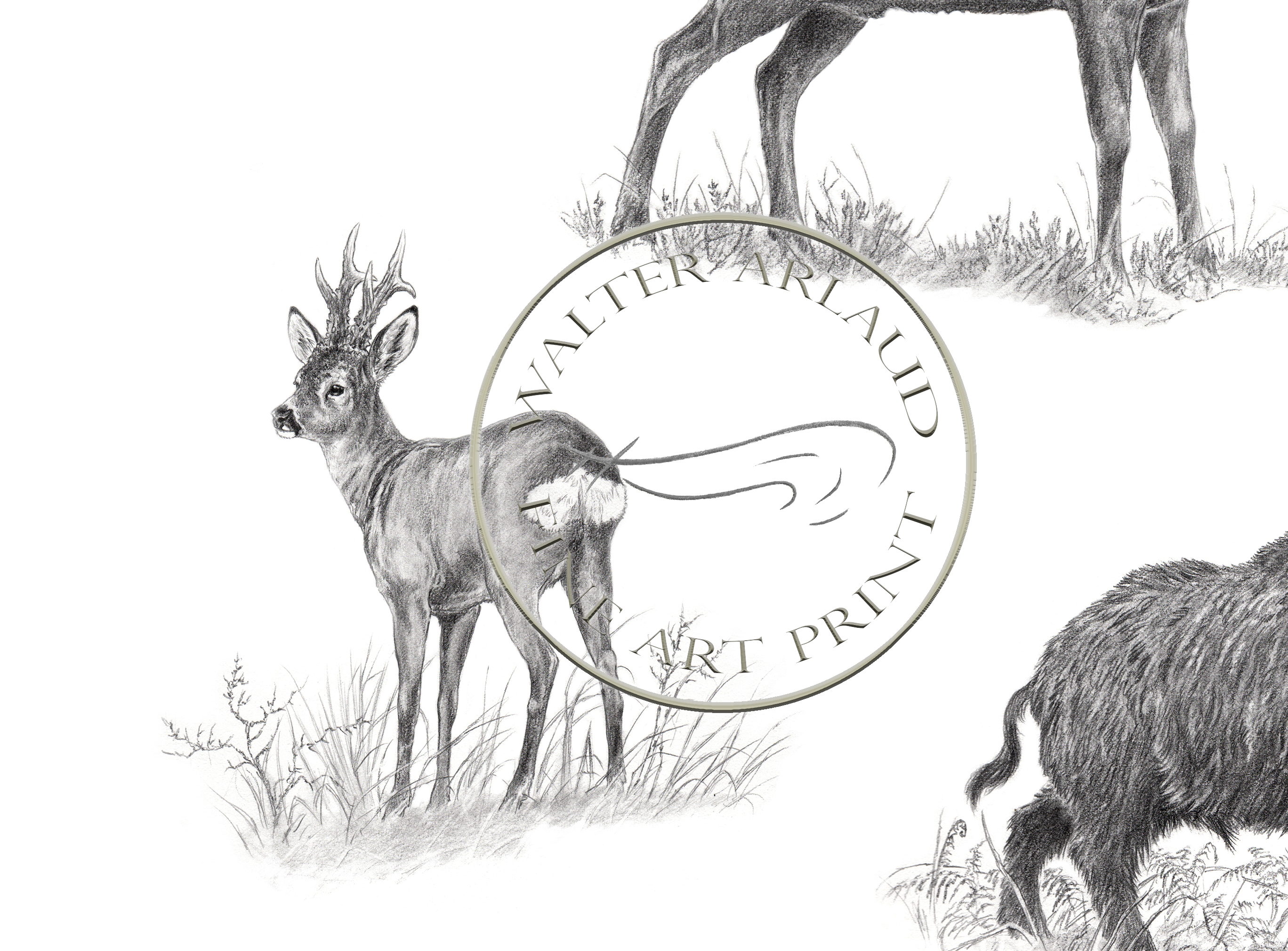 Grande faune / Edition limitée Fine Art 