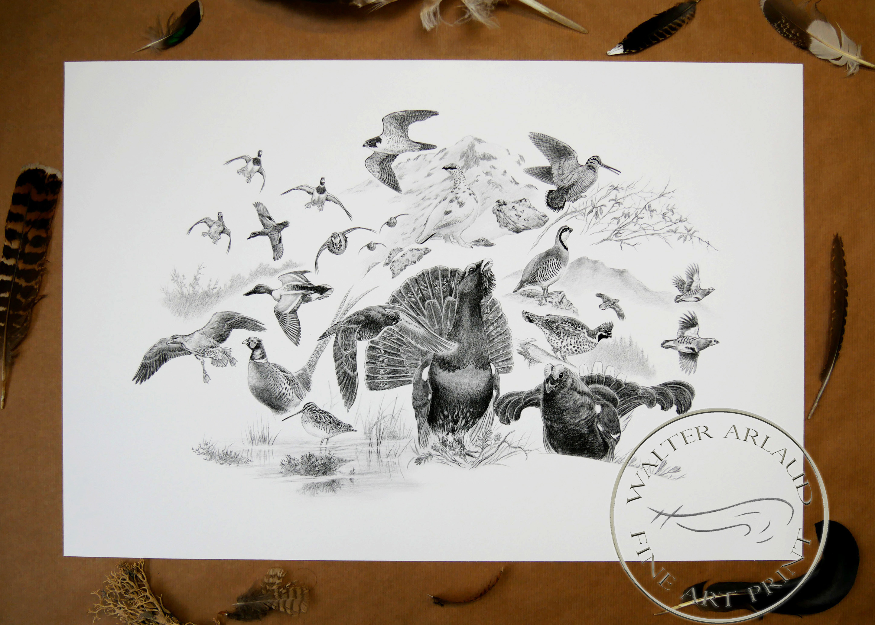 Composition d'oiseaux / Edition limitée Fine Art 