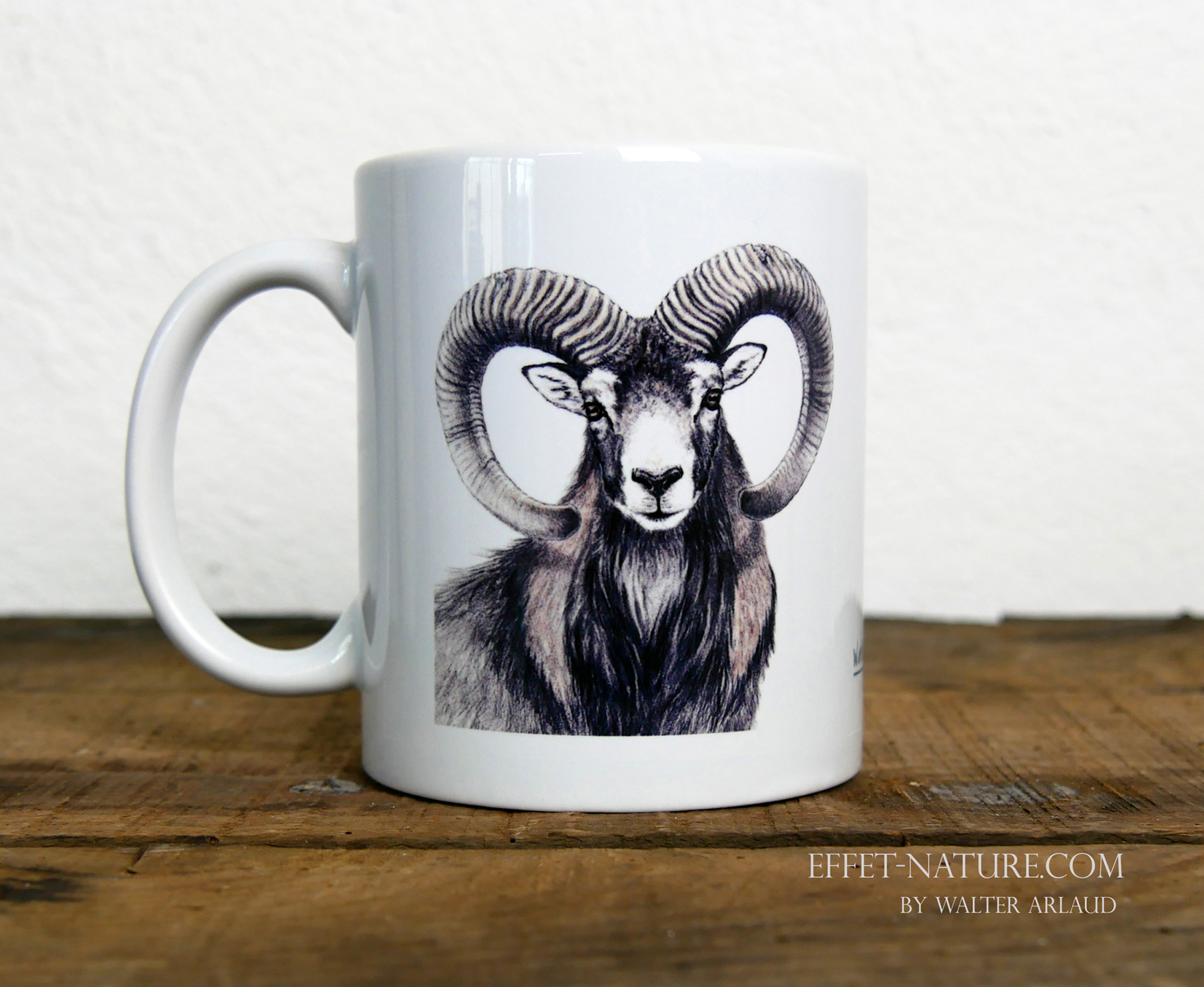 Regards sauvages "Le Mouflon"
