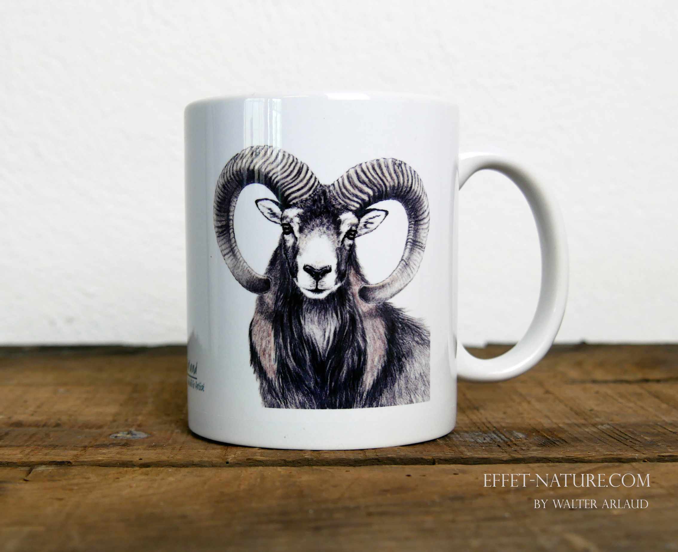 Regards sauvages "Le Mouflon"