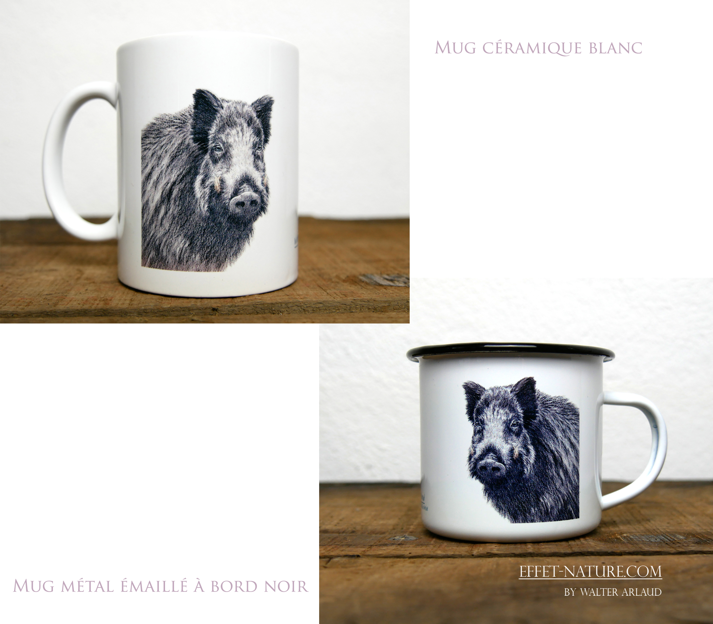 Regards sauvages "Le Sanglier"