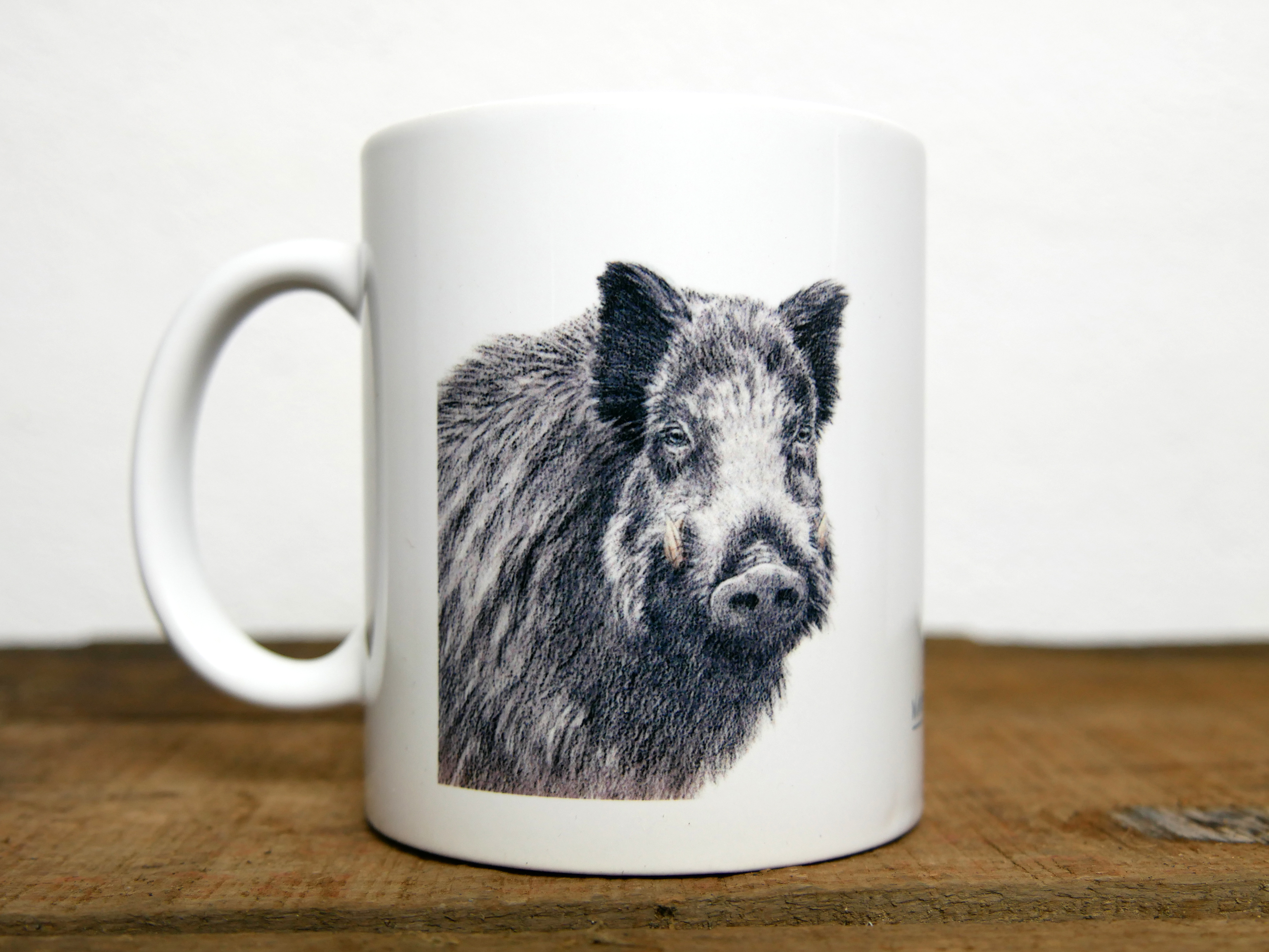 Regards sauvages "Le Sanglier"