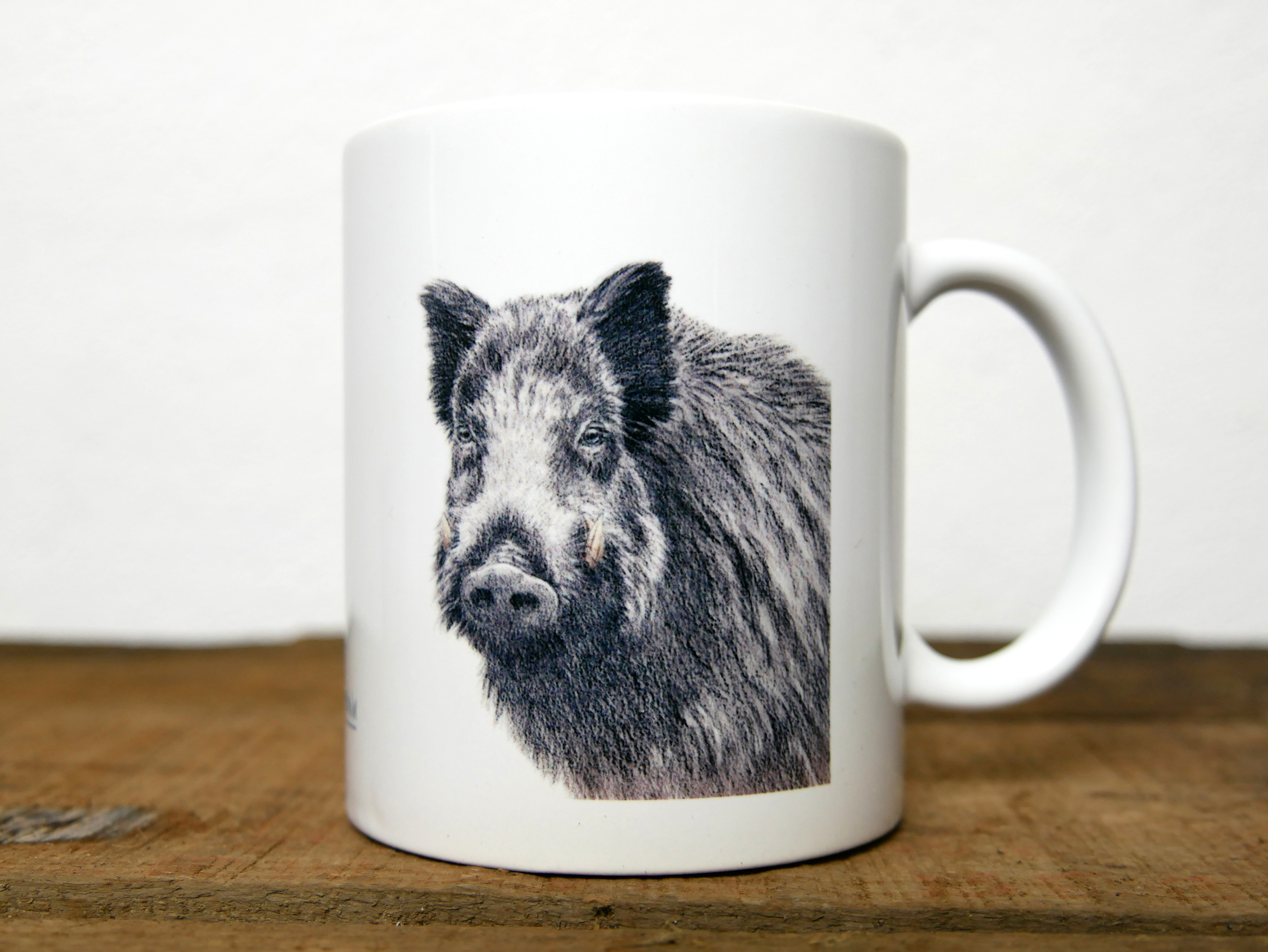 Regards sauvages "Le Sanglier"