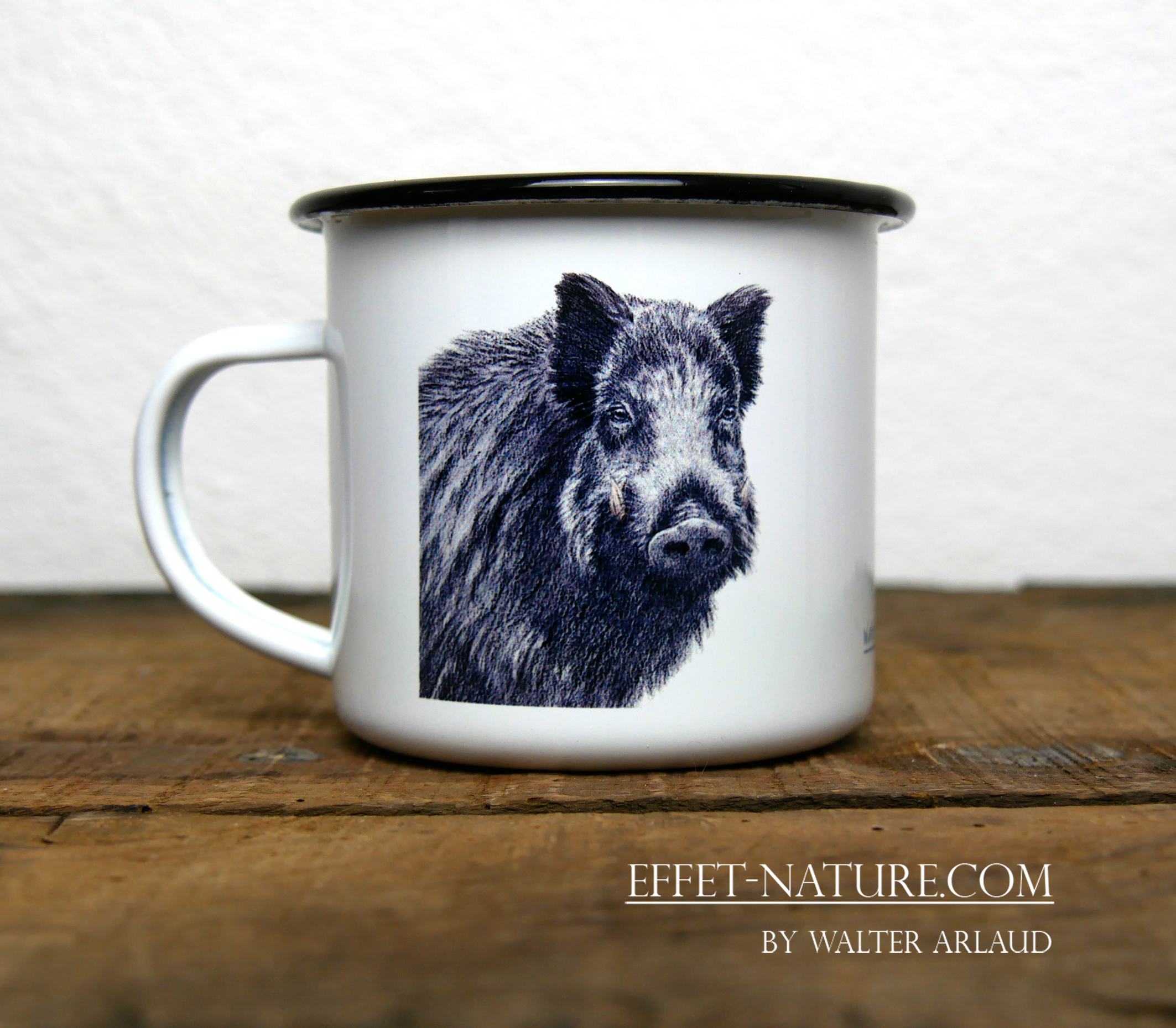 Regards sauvages "Le Sanglier"