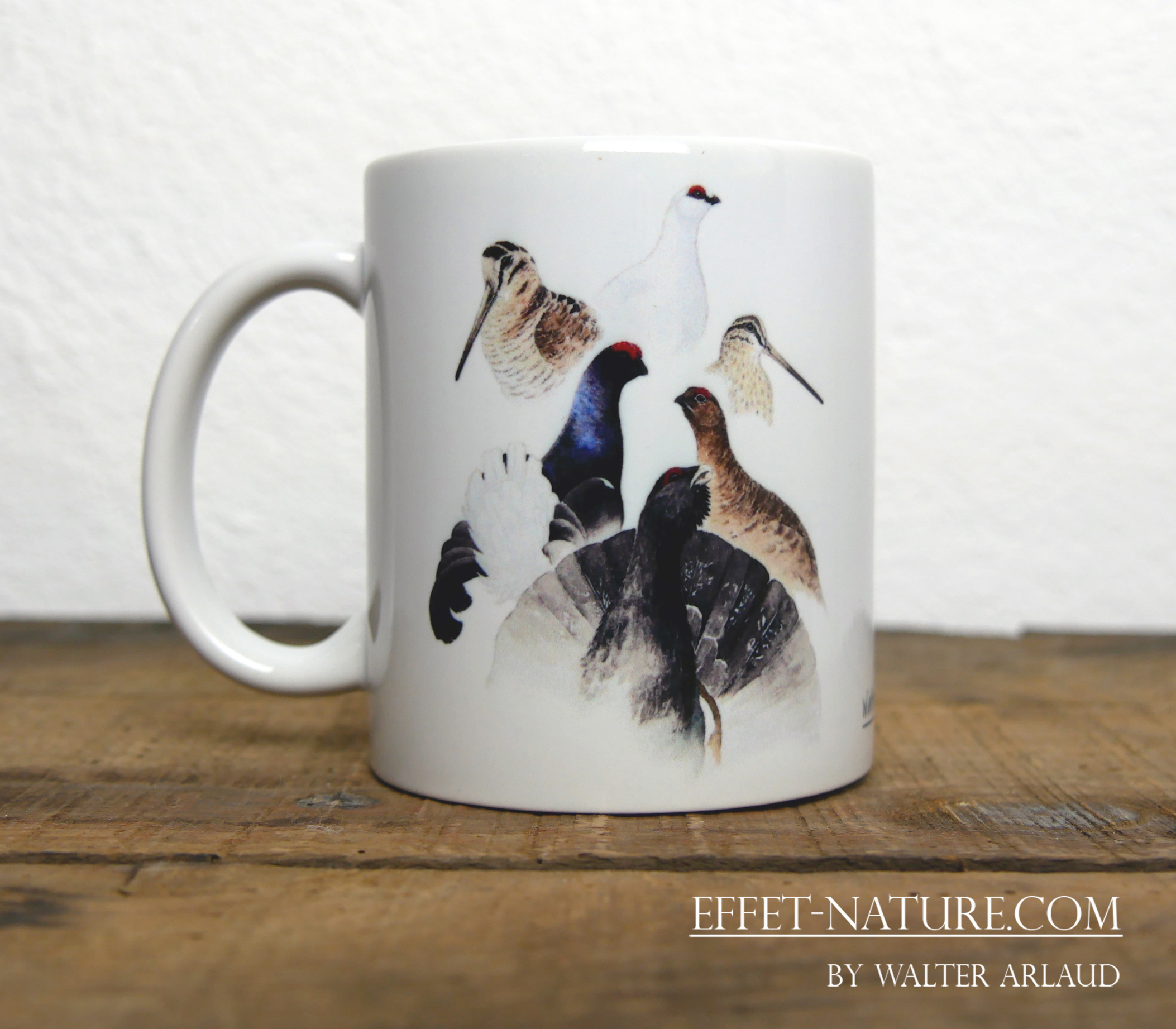 Animaux du monde "Oiseaux"