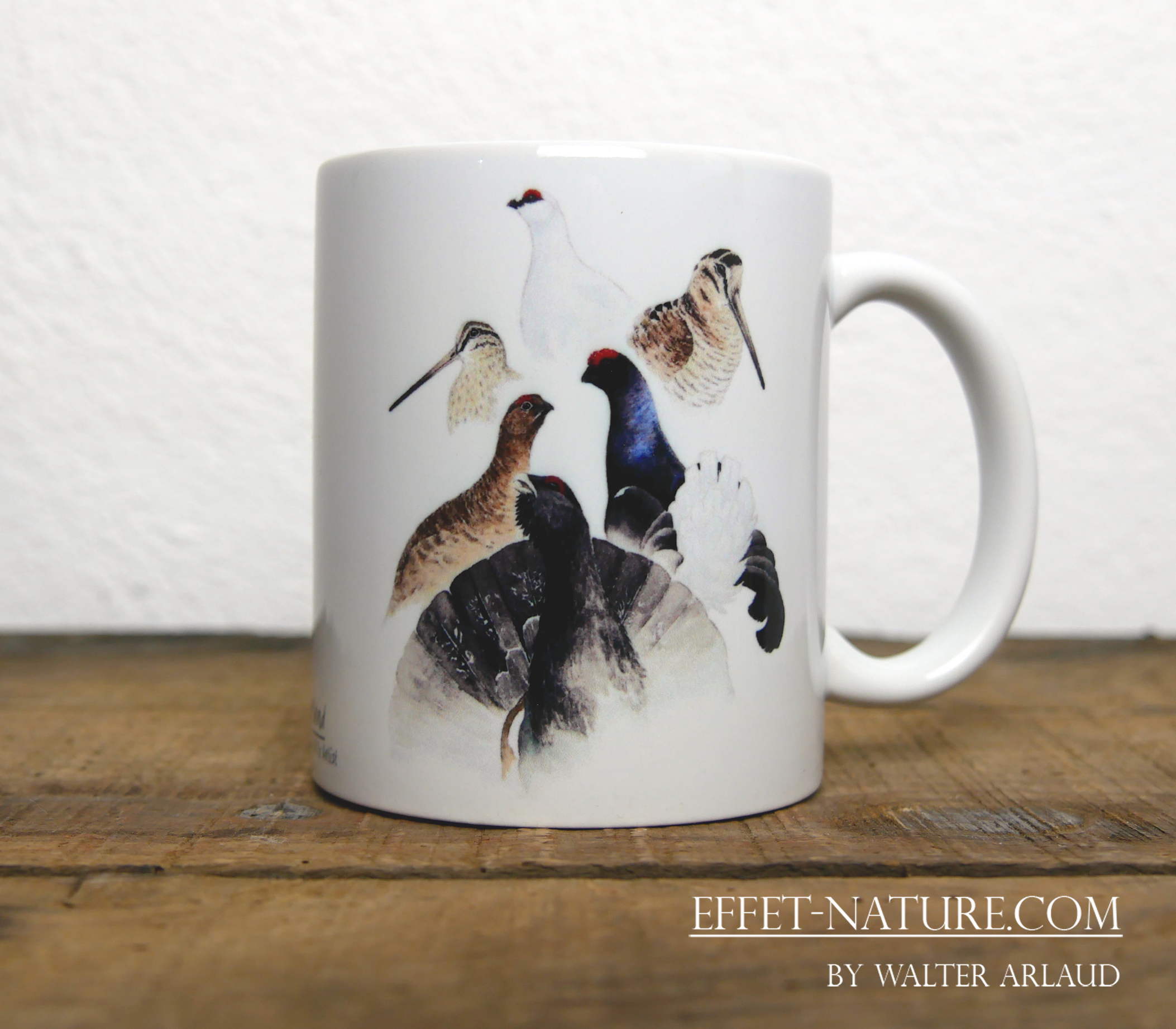 Animaux du monde "Oiseaux"