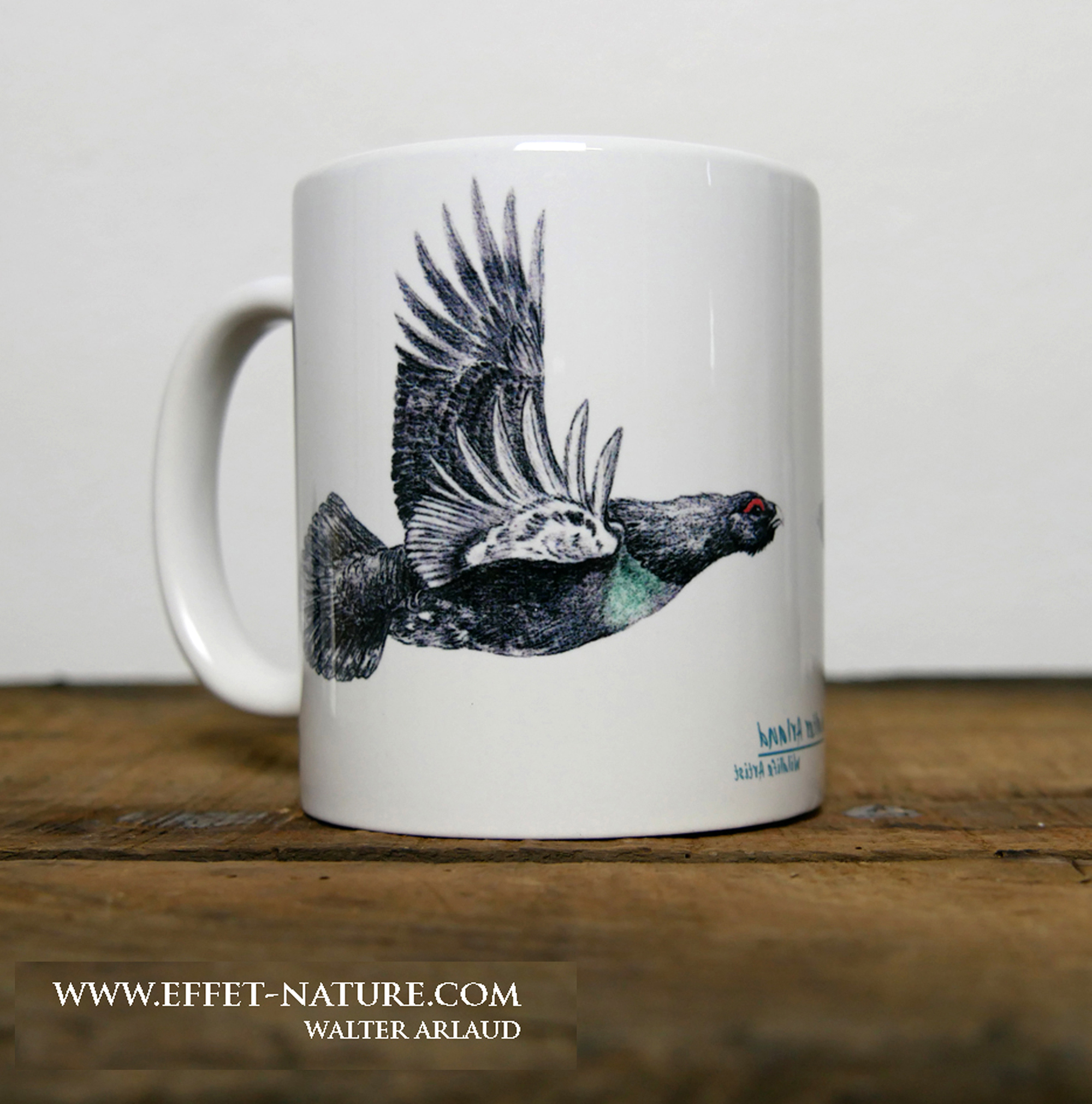 Plumes "Grand tétras"