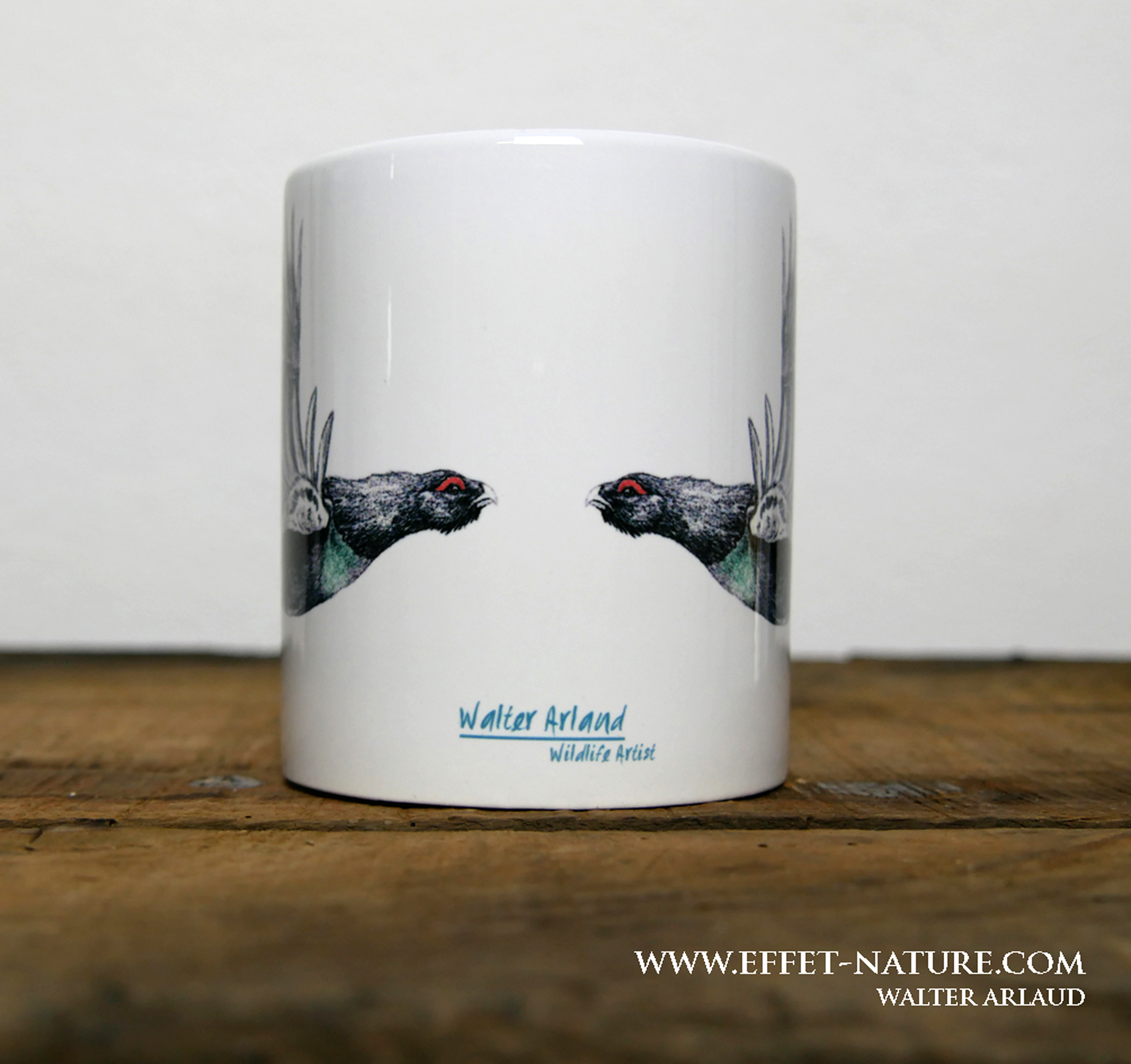 Plumes "Grand tétras"