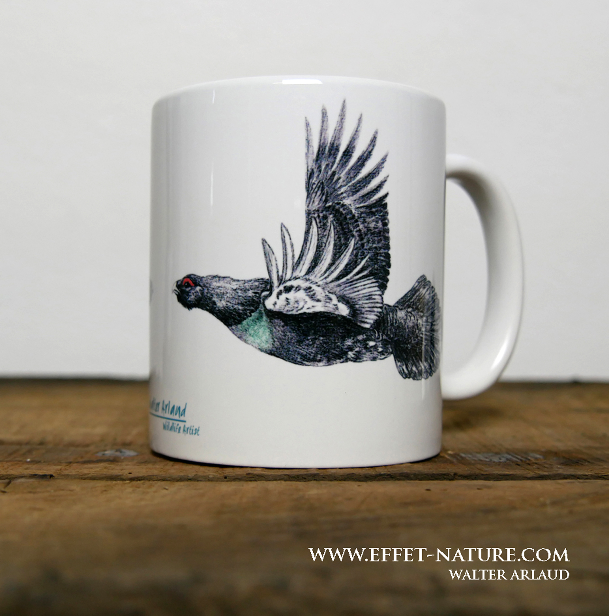 Plumes "Grand tétras"