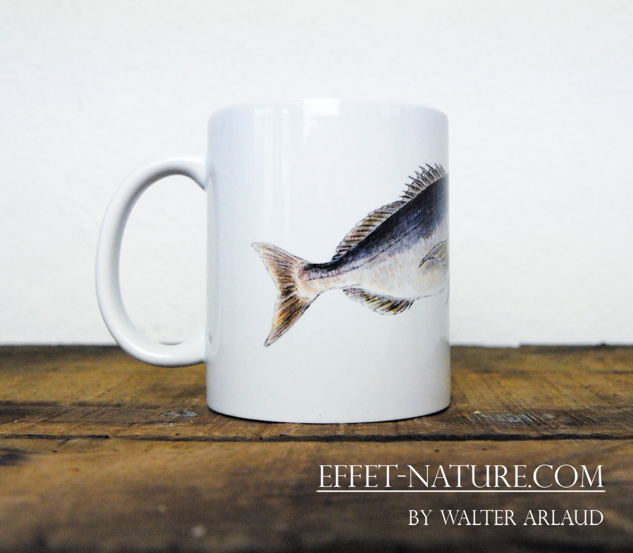 Carnassier des mers "Denti/Dentex"