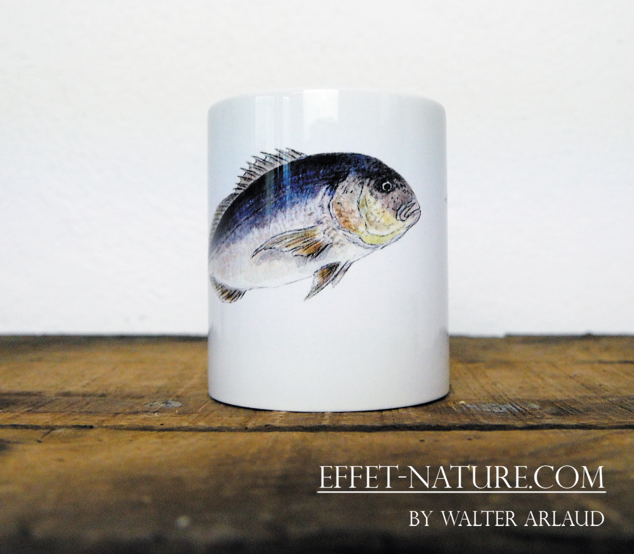 Carnassier des mers "Denti/Dentex"