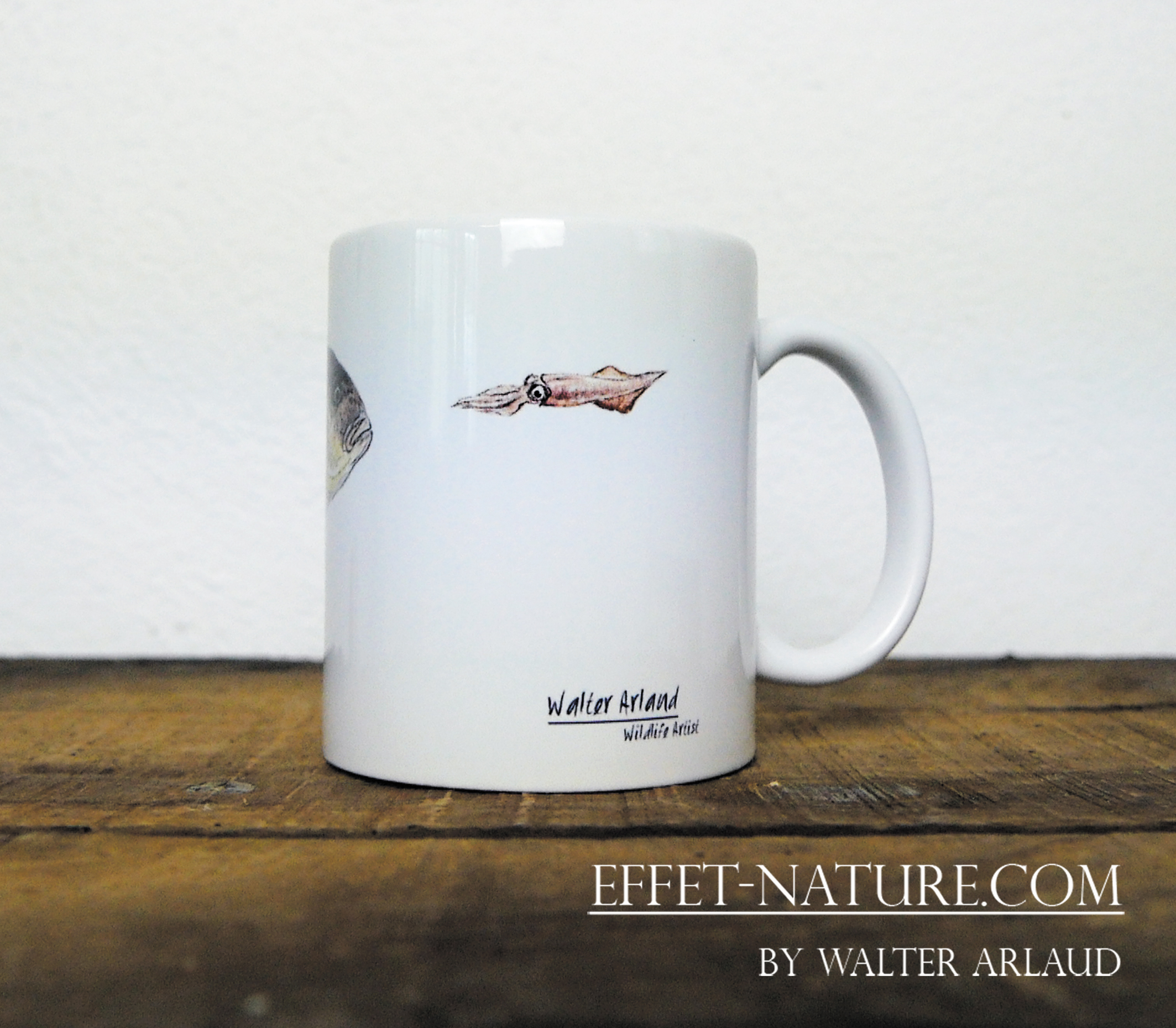 Carnassier des mers "Denti/Dentex"