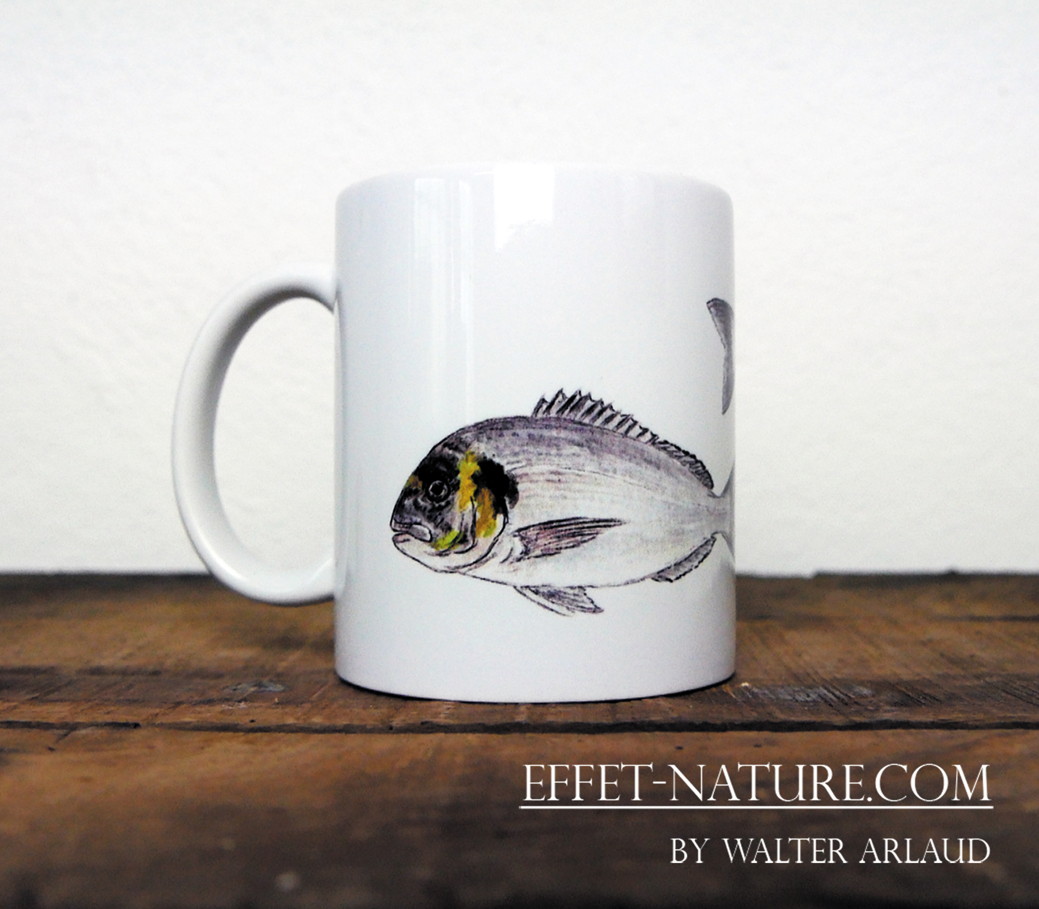 Carnassier des mers "Dorade et Bar"