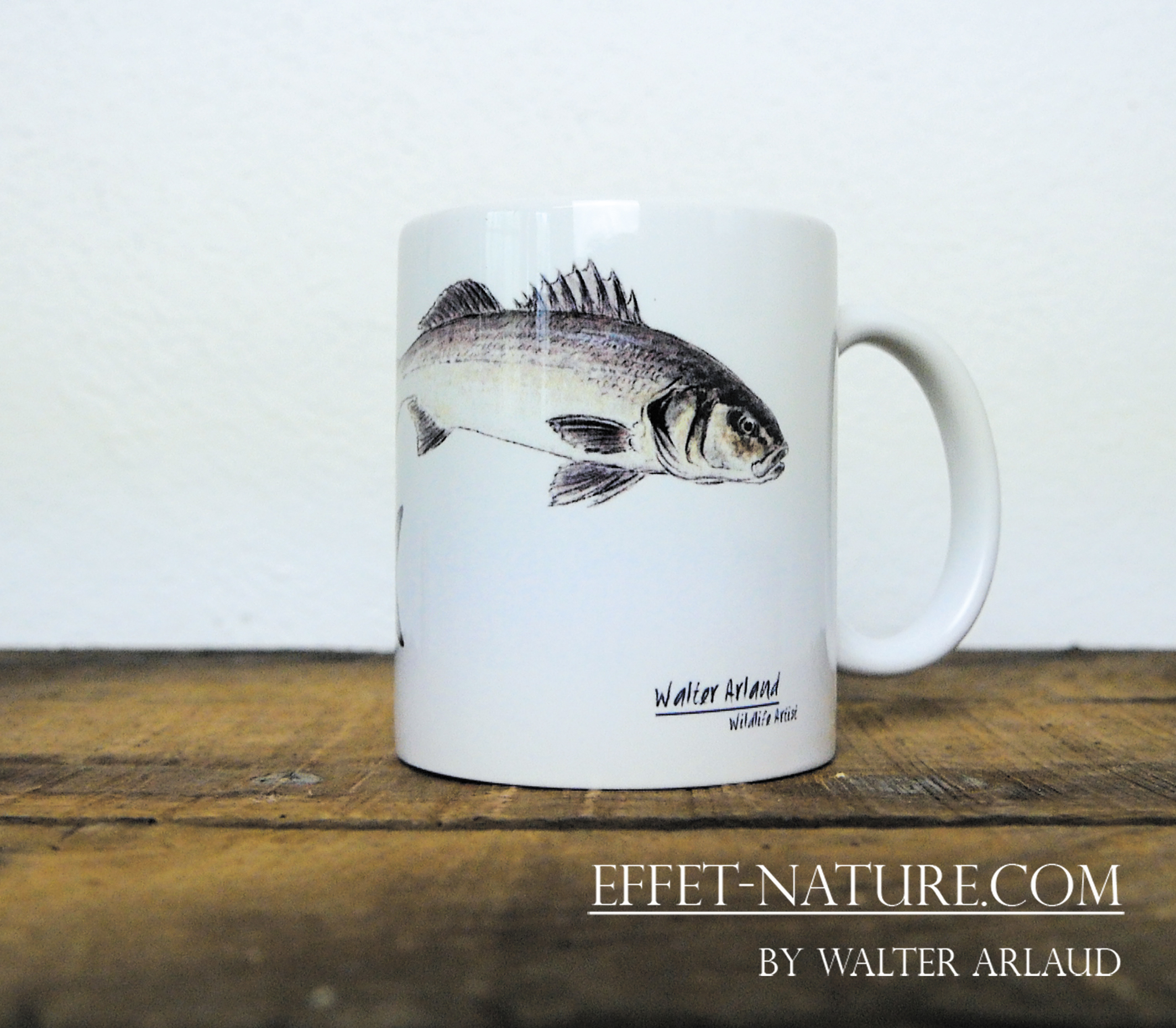 Carnassier des mers "Dorade et Bar"