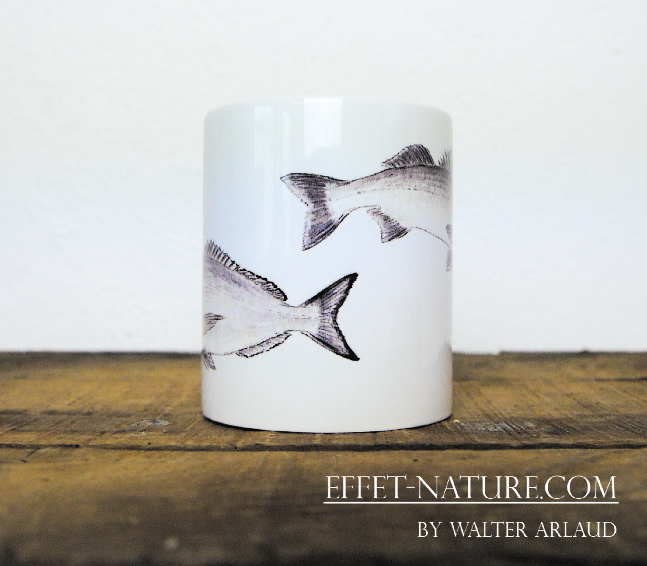 Carnassier des mers "Dorade et Bar"