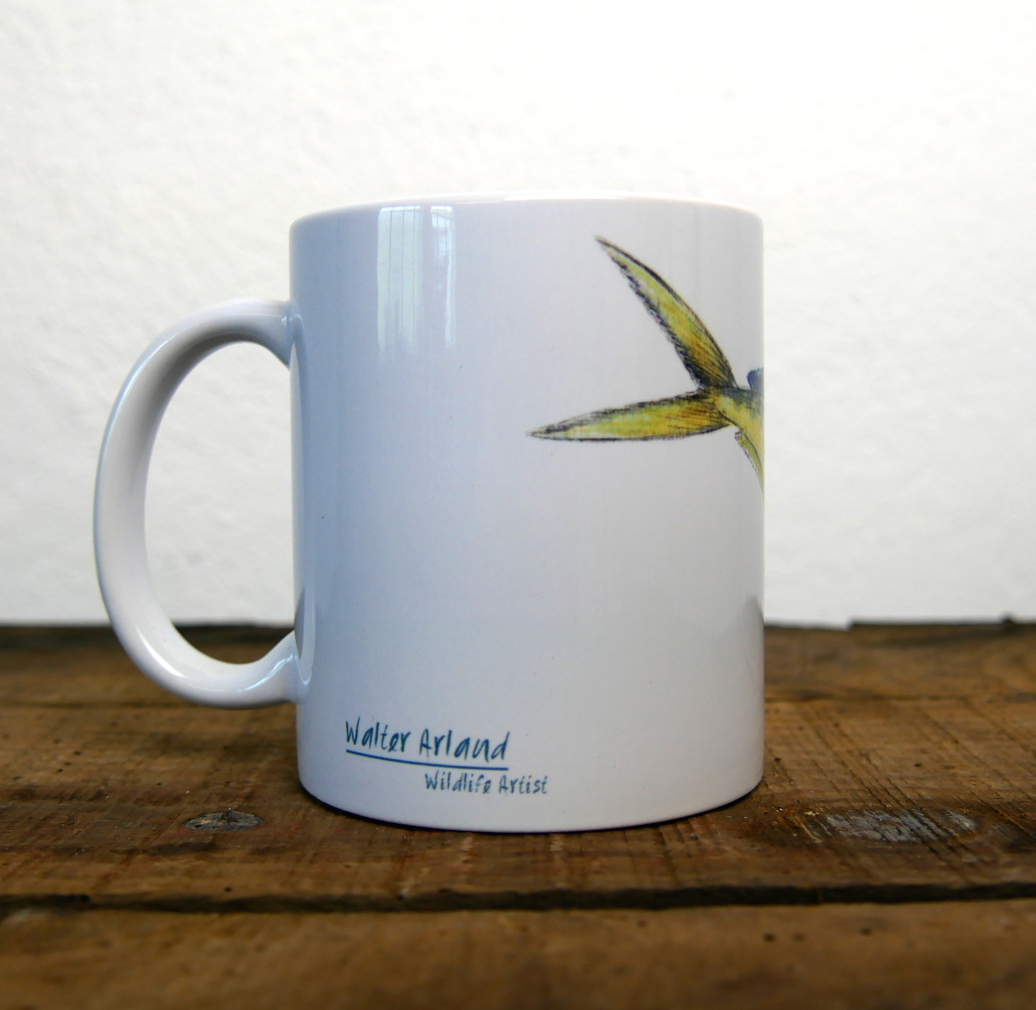 Poissons exotiques "Dorade coryphène"