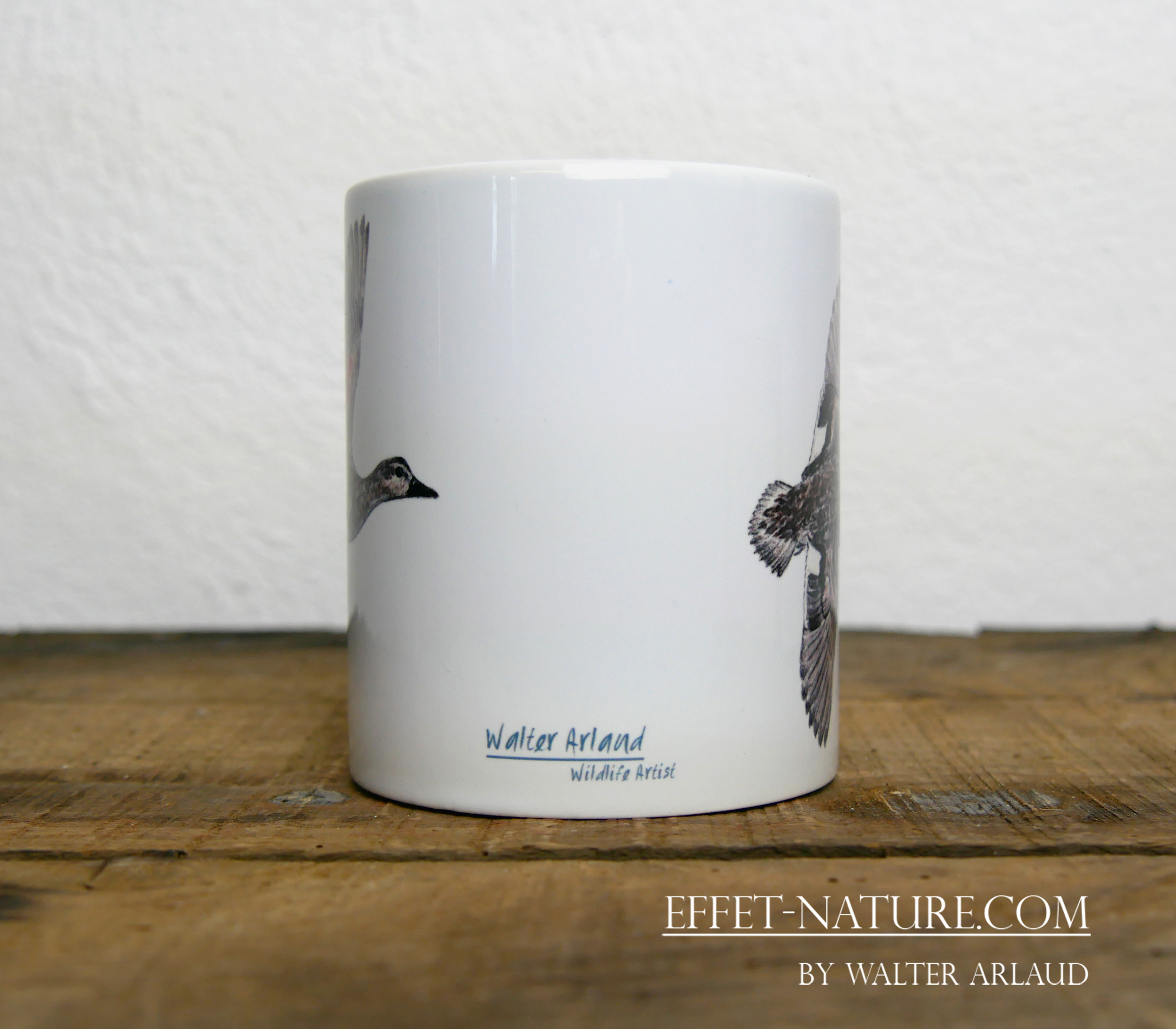 Canards "Chipeau" mâle et femelle