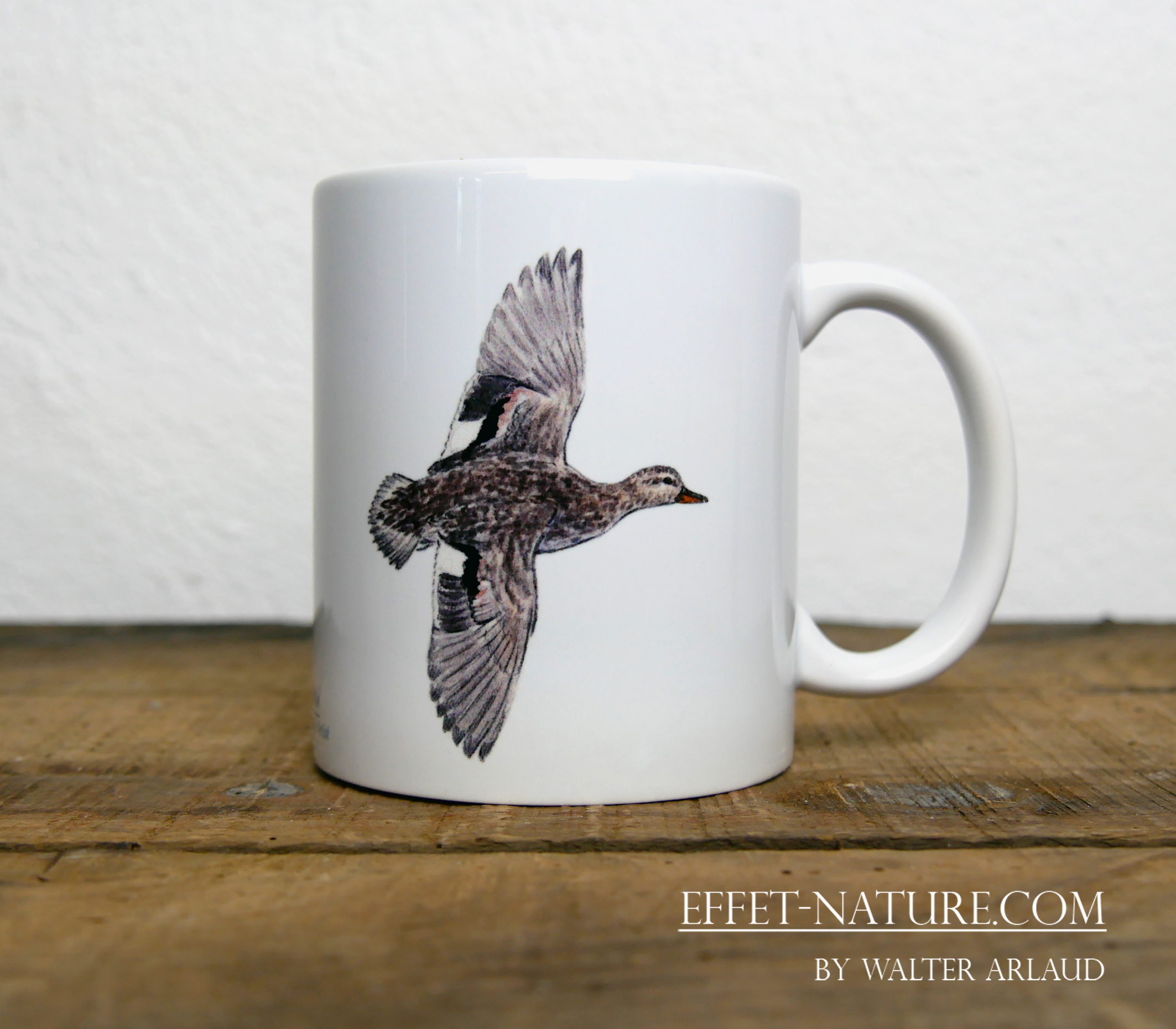 Canards "Chipeau" mâle et femelle