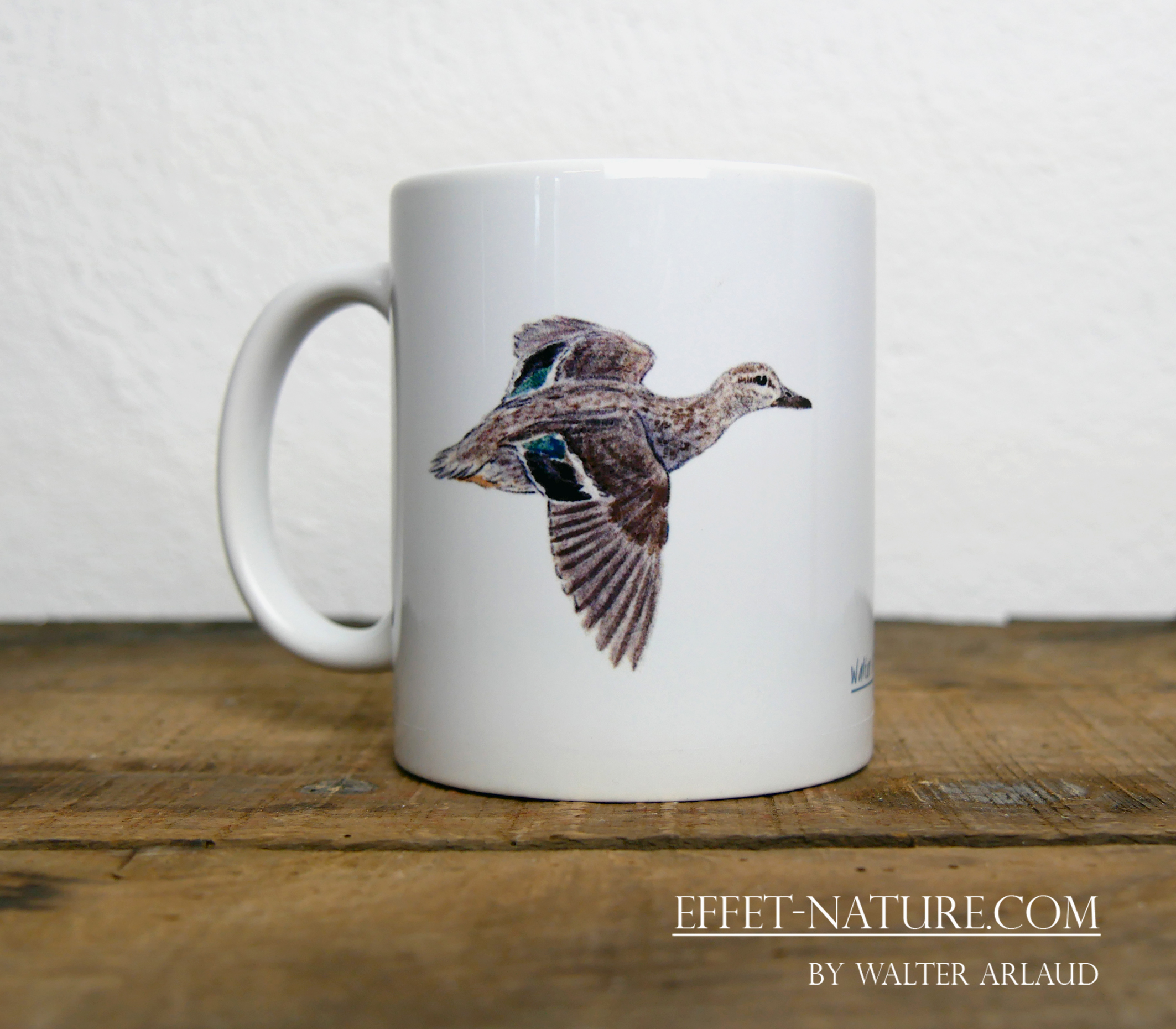 Canards "Sarcelle d'hiver" mâle et femelle