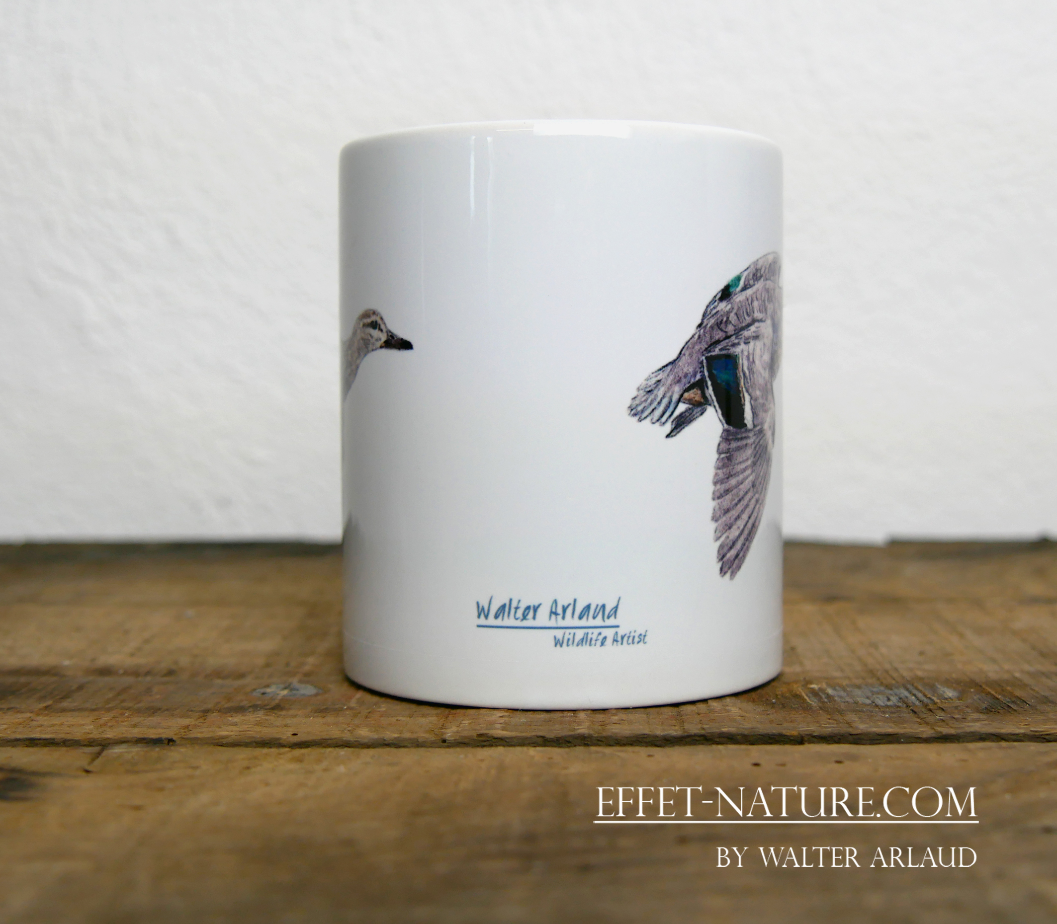 Canards "Sarcelle d'hiver" mâle et femelle