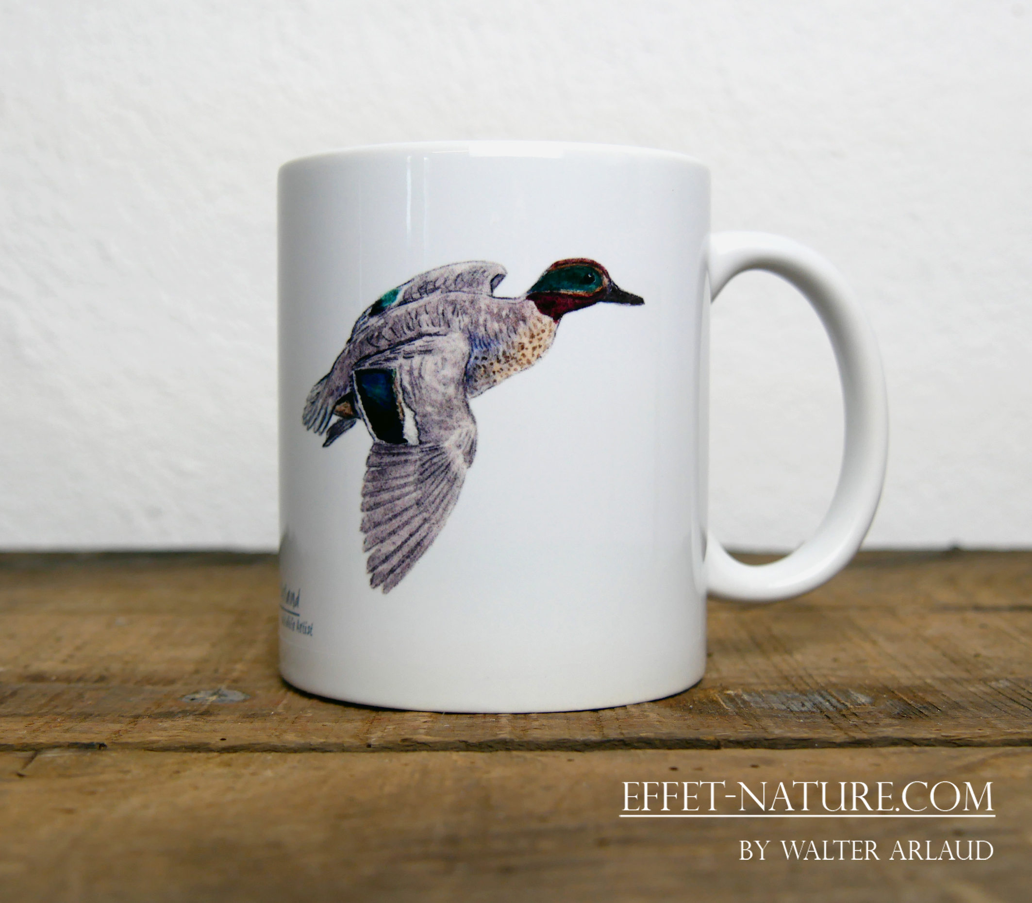 Canards "Sarcelle d'hiver" mâle et femelle