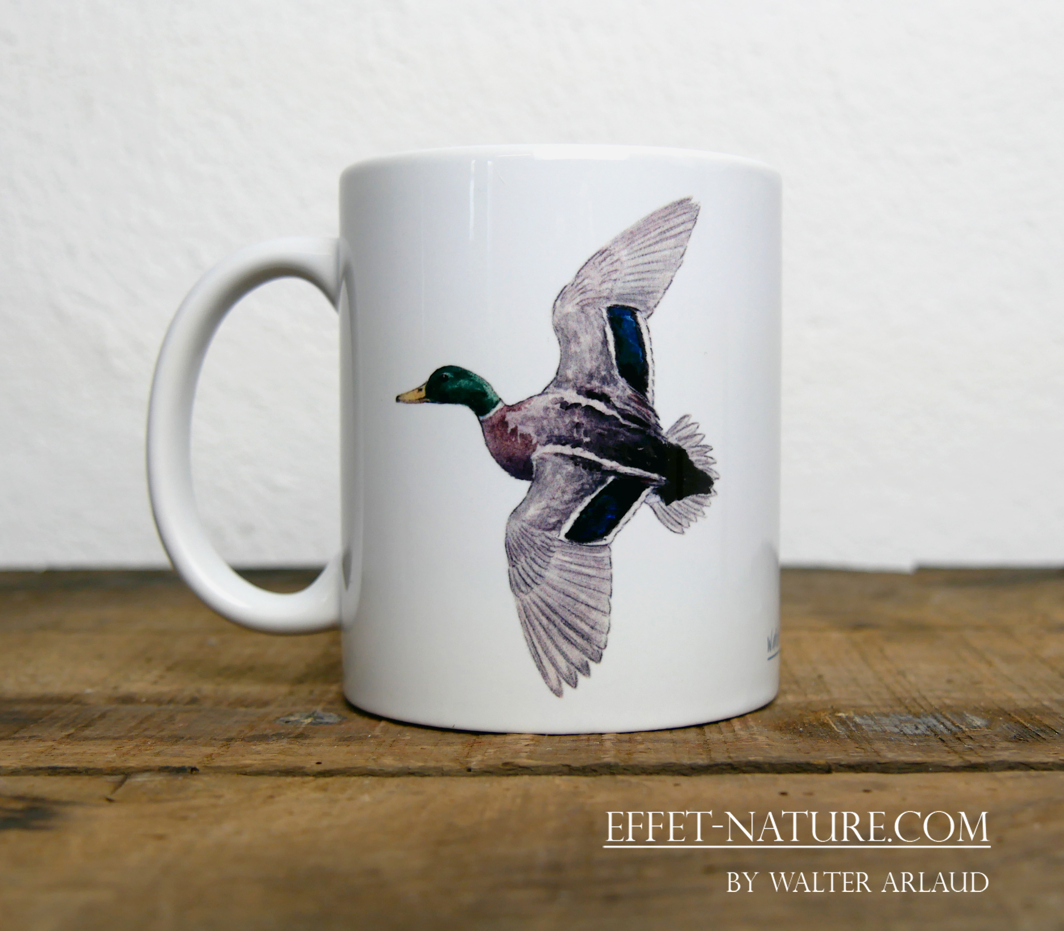 Canards "Colvert" mâle et femelle