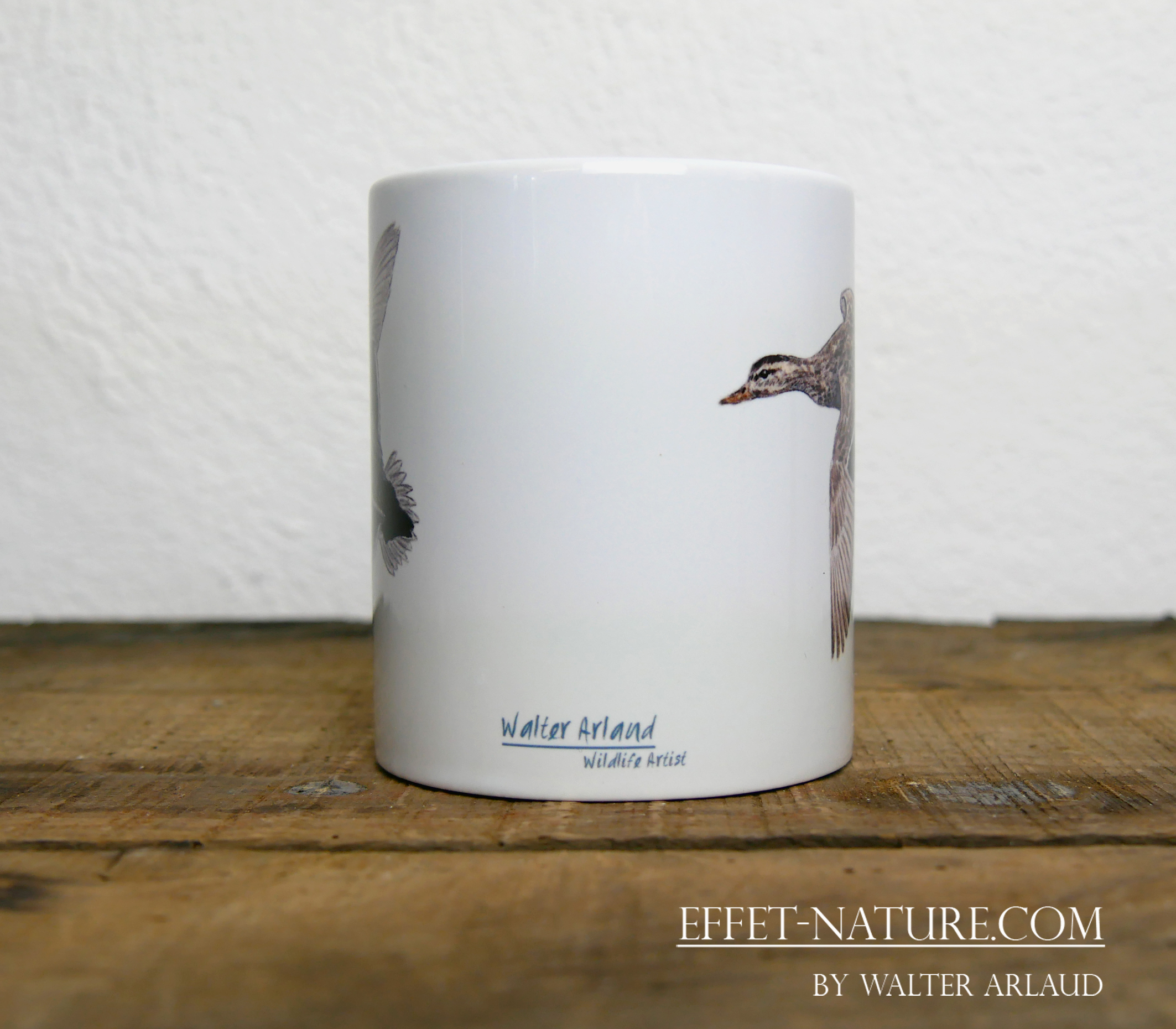 Canards "Colvert" mâle et femelle