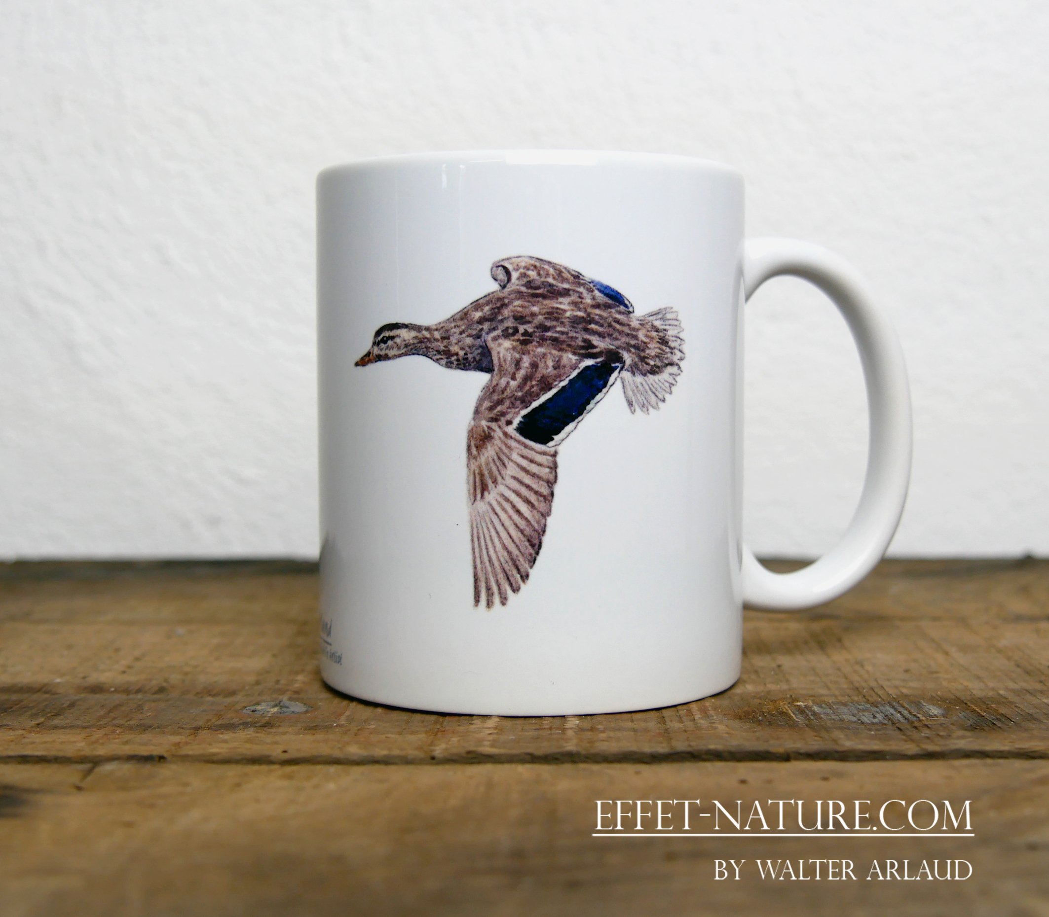 Canards "Colvert" mâle et femelle