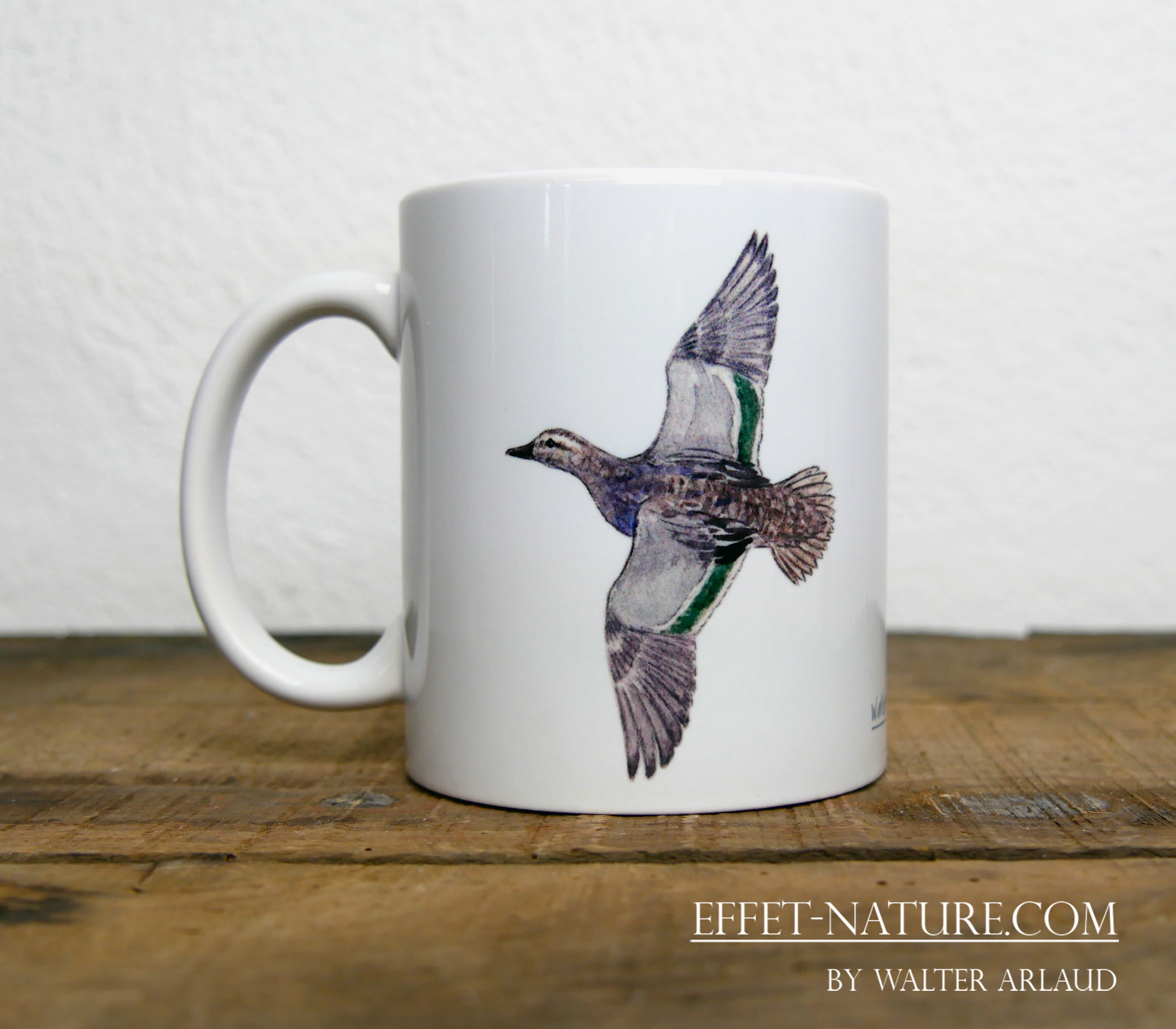 Canards "Sarcelle d'été" mâle et femelle