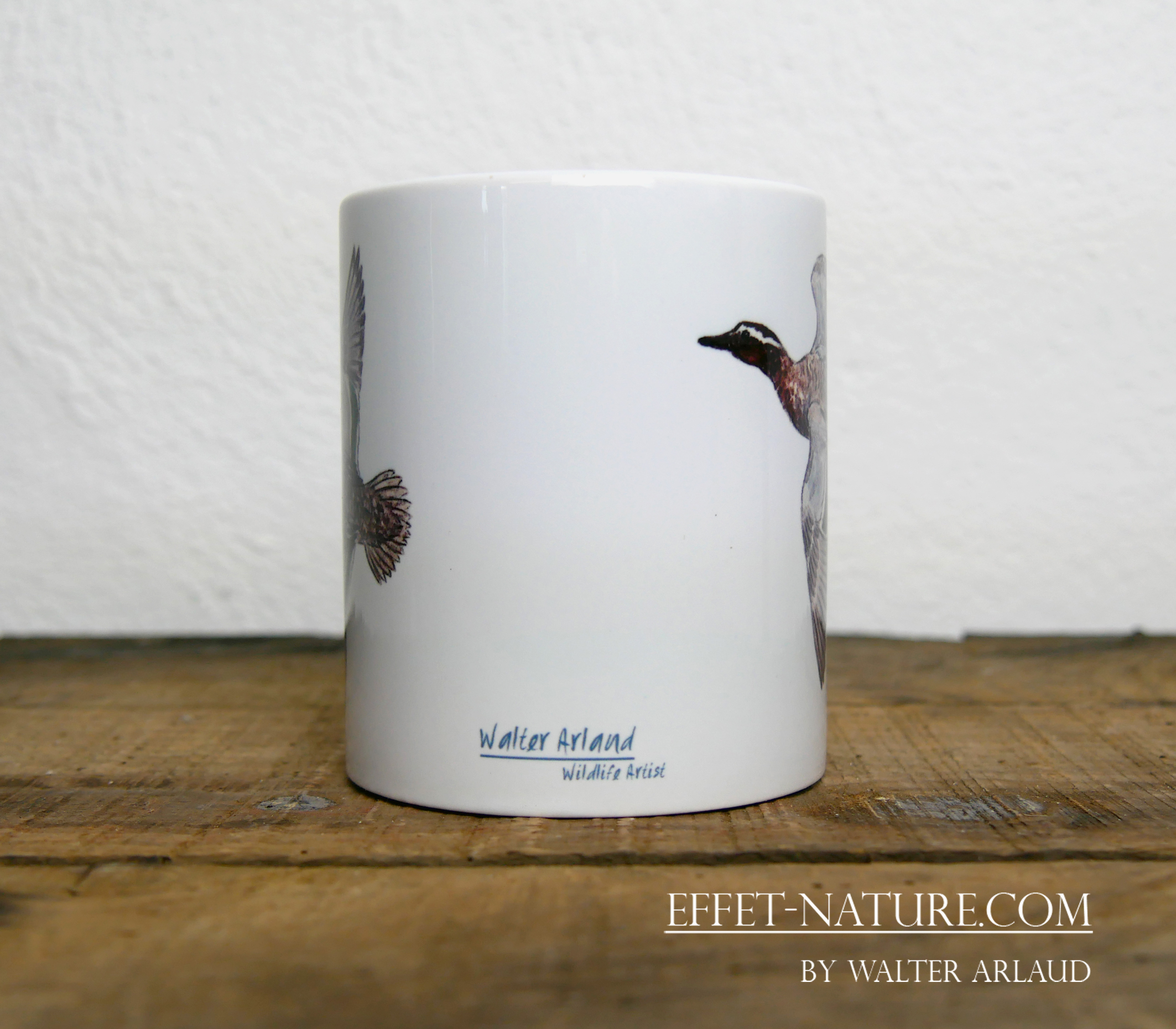 Canards "Sarcelle d'été" mâle et femelle