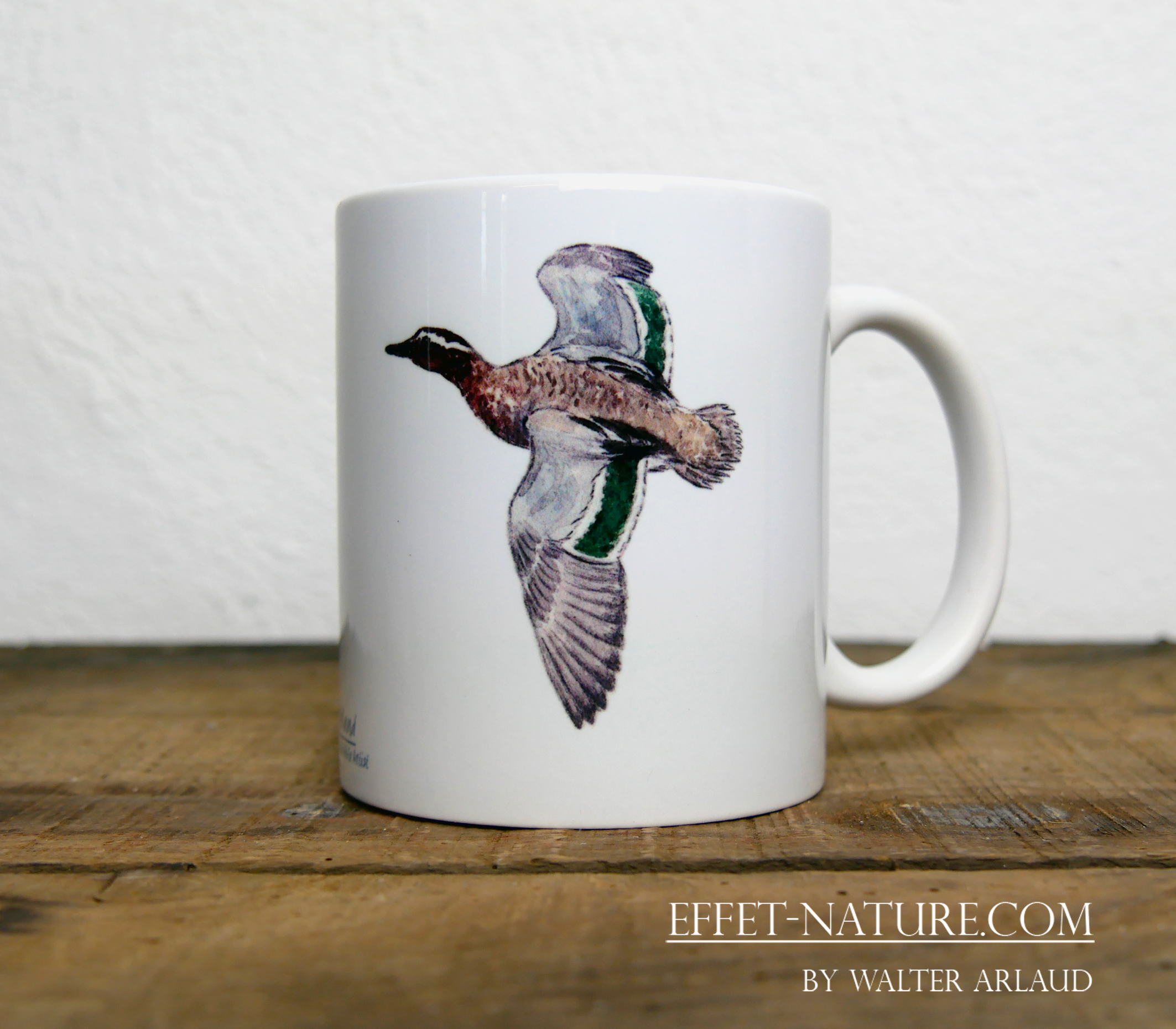 Canards "Sarcelle d'été" mâle et femelle