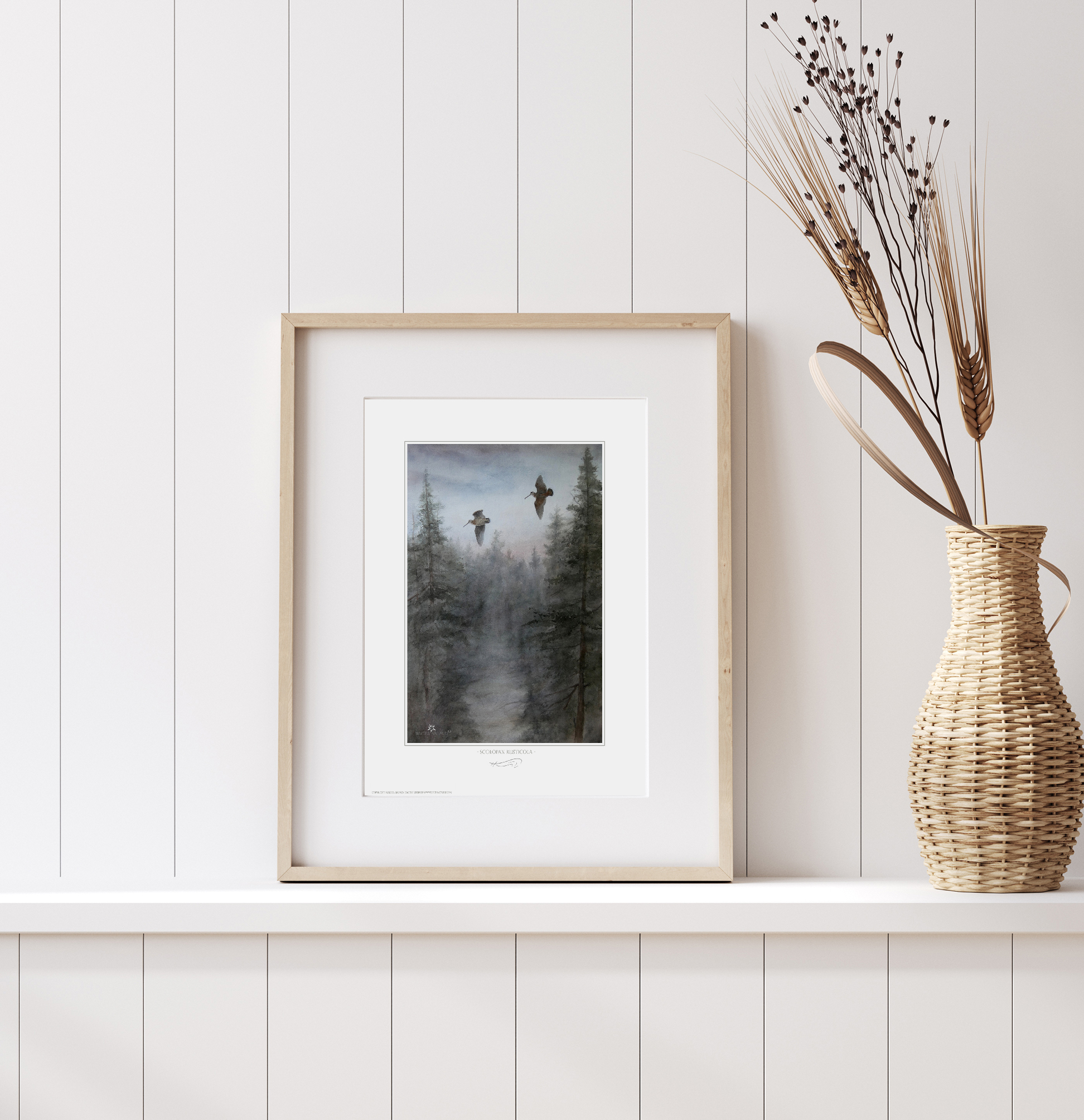 La croule / Bécasse à la passée