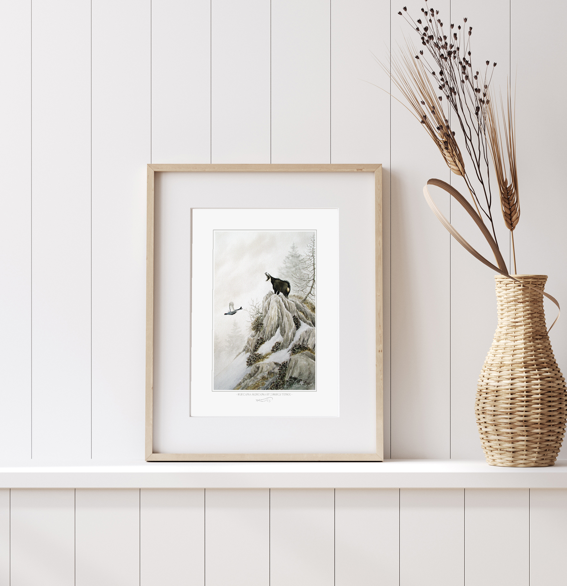 Chamois et Tétras lyre