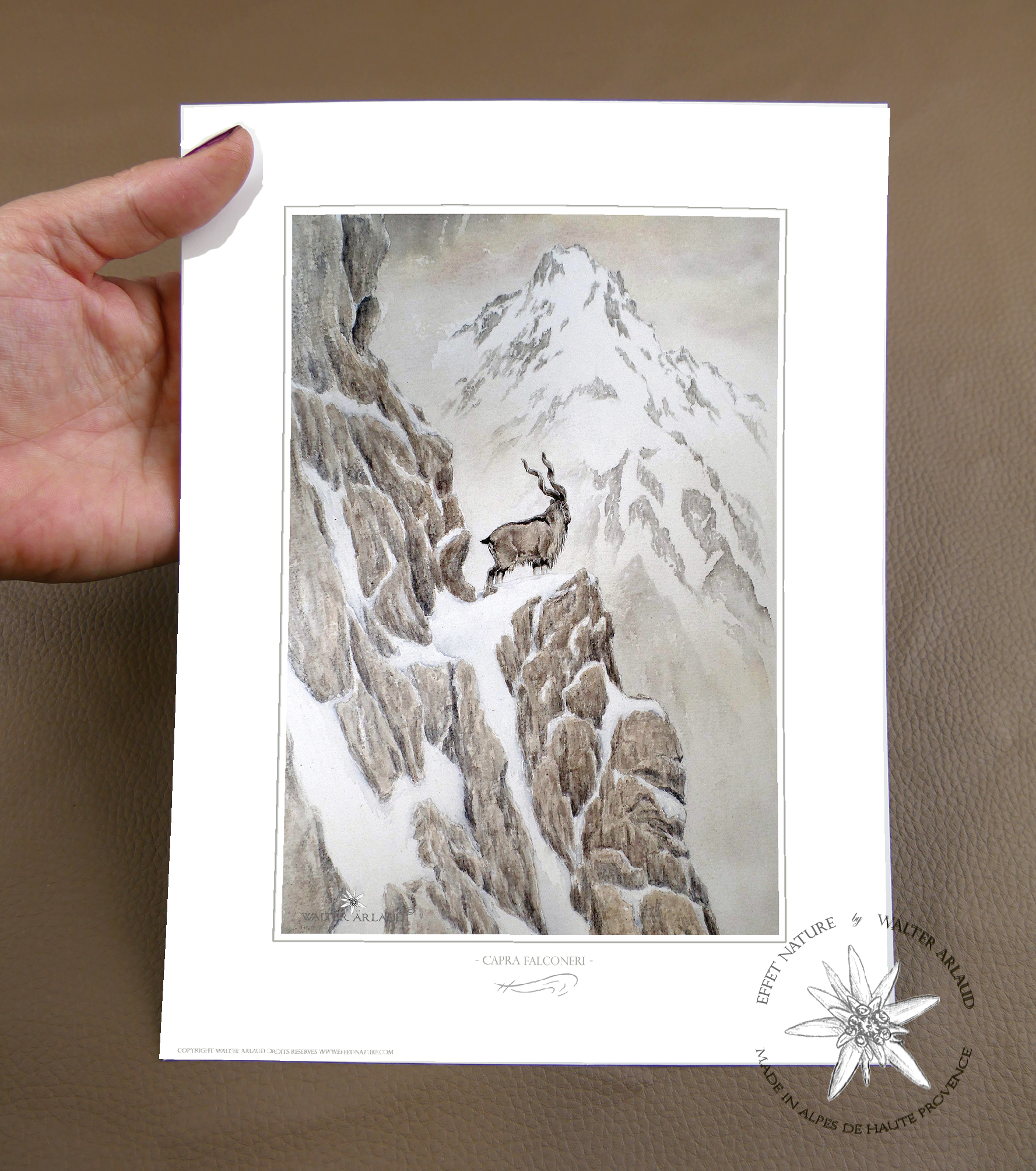 Markhor