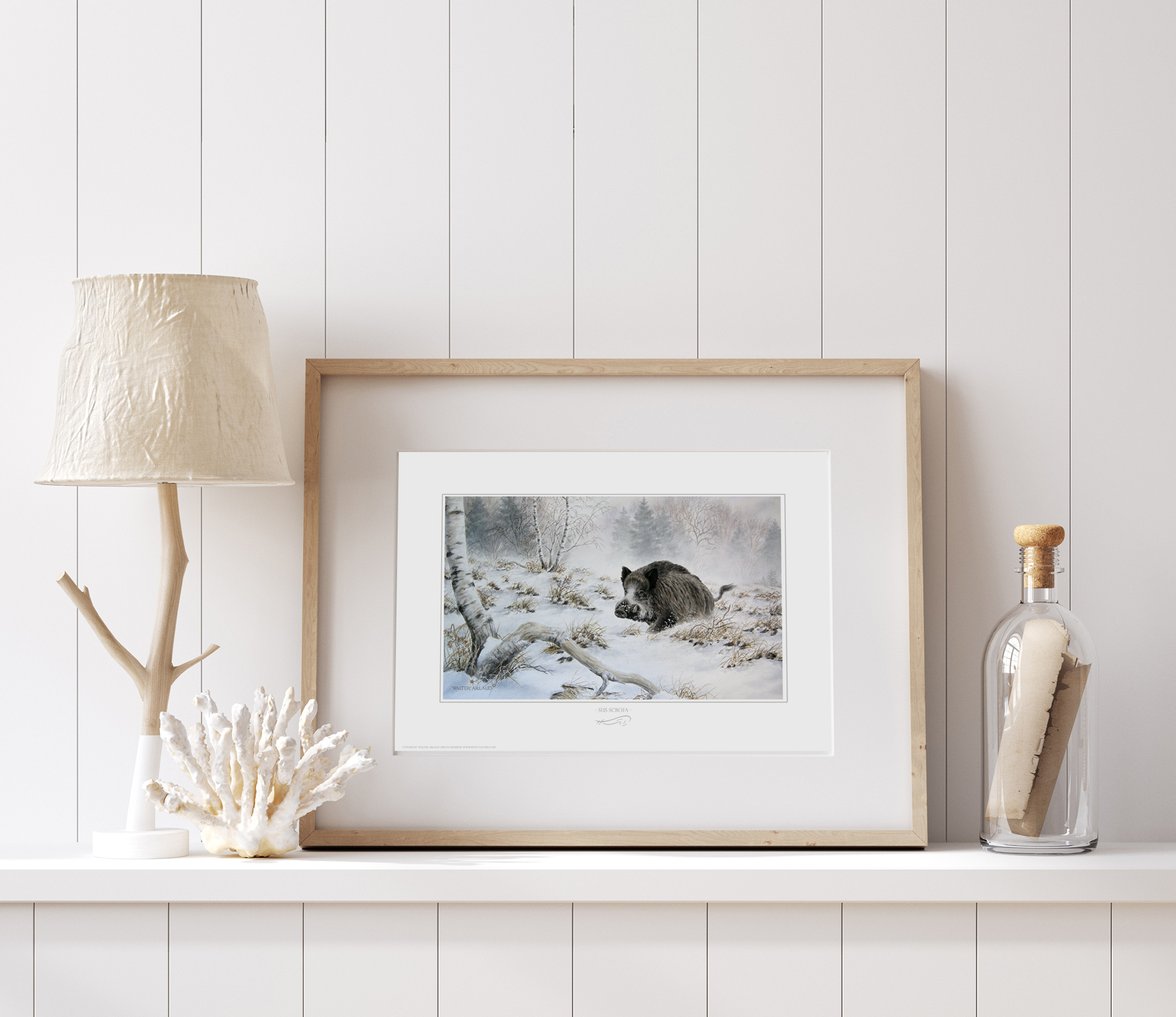 Sanglier dans la neige