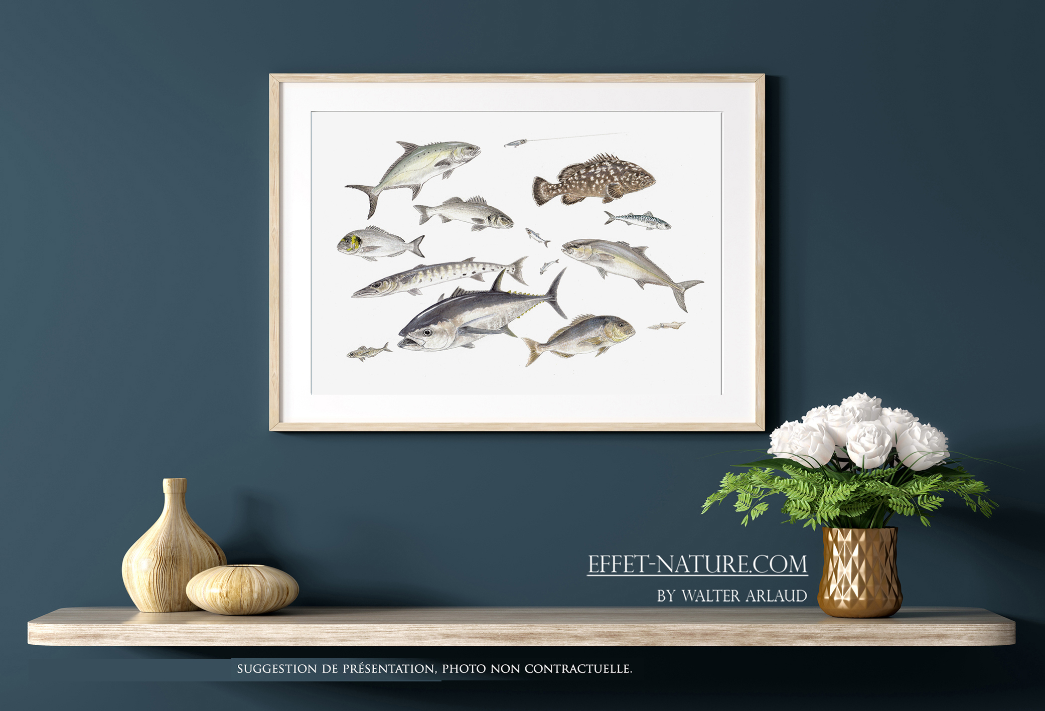 Carnassiers des mers