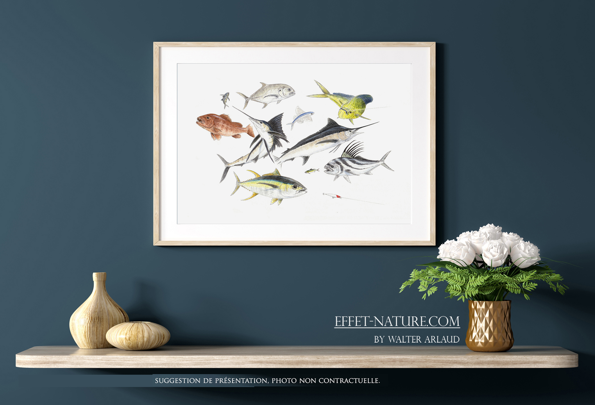 Poissons exotiques