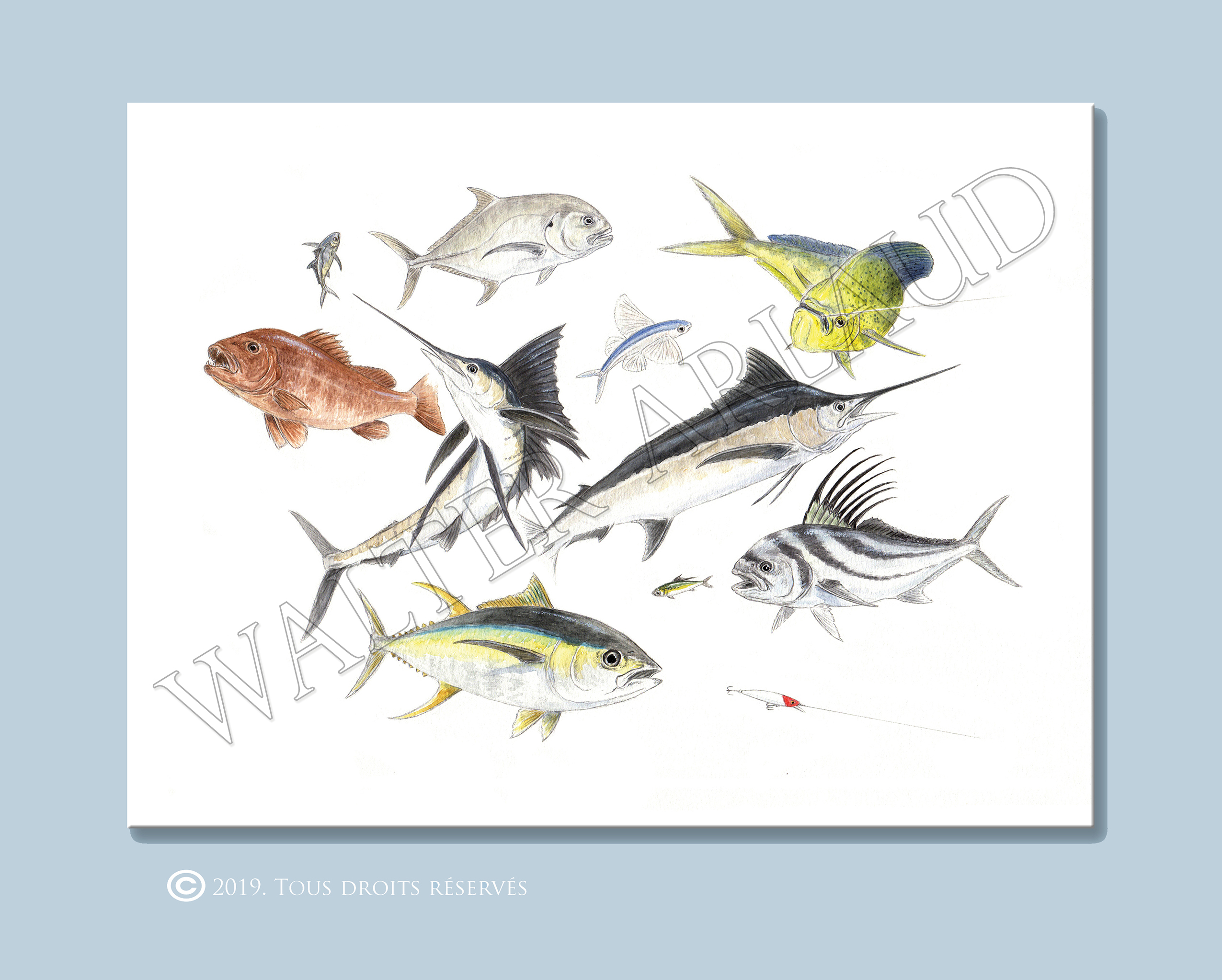 Poissons exotiques
