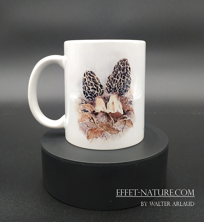 Collection Champêtre "Morilles"