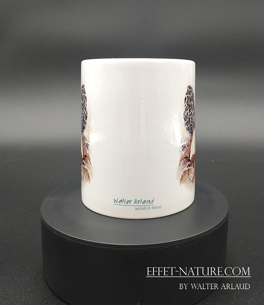 Collection Champêtre "Morilles"